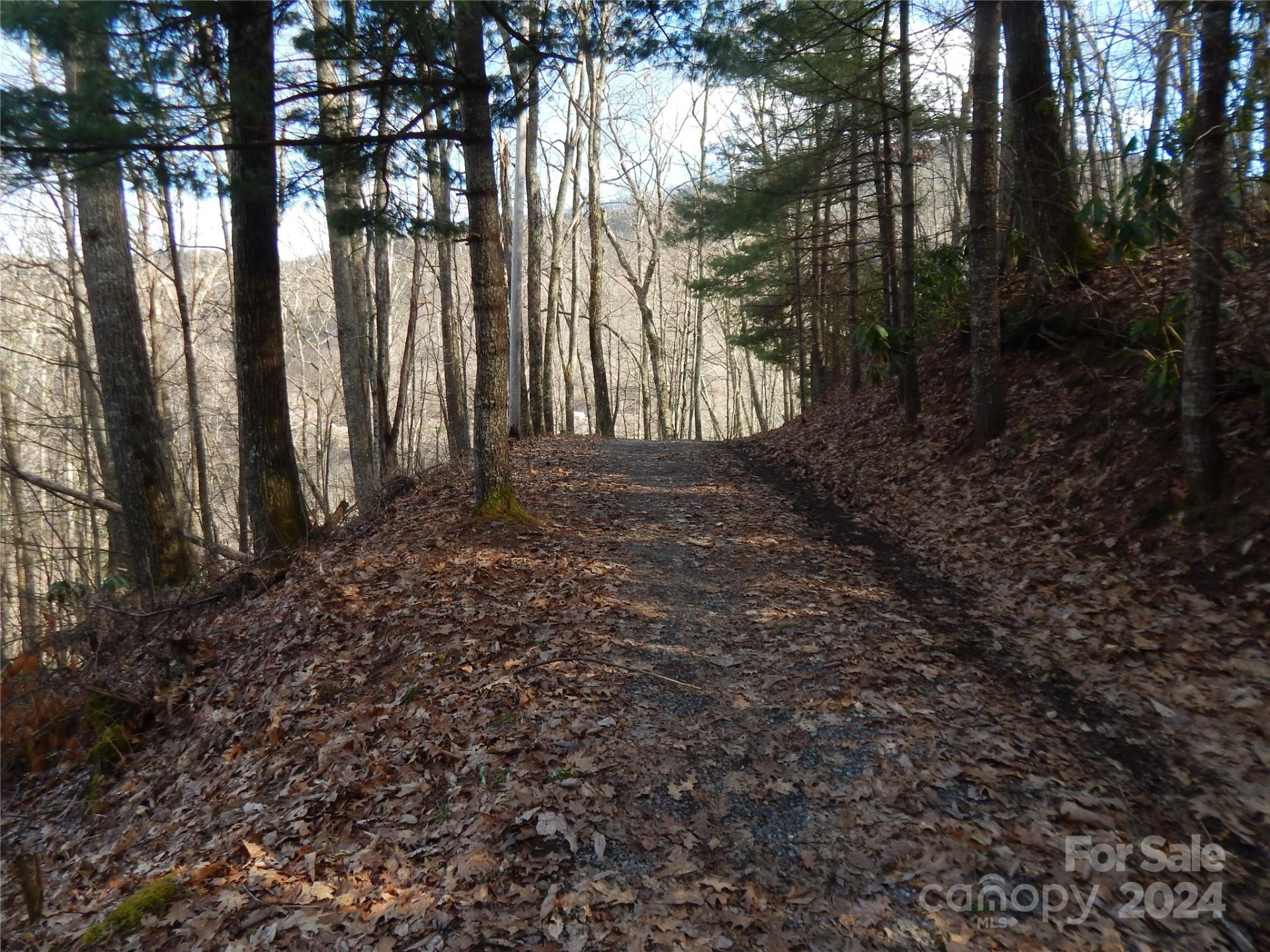 00 Hoot Owl Bill Road - Photo 4