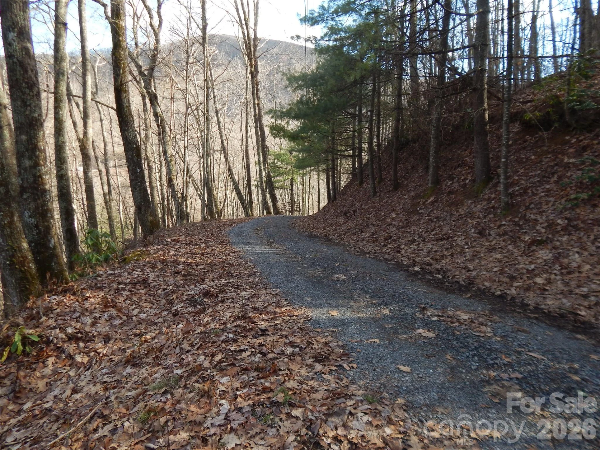 00 Hoot Owl Bill Road - Photo 4