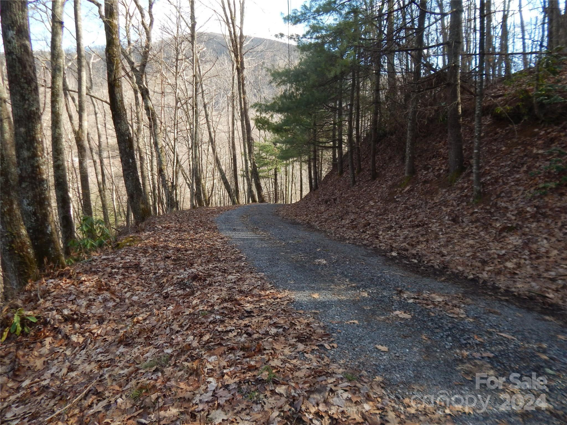 00 Hoot Owl Bill Road - Photo 5