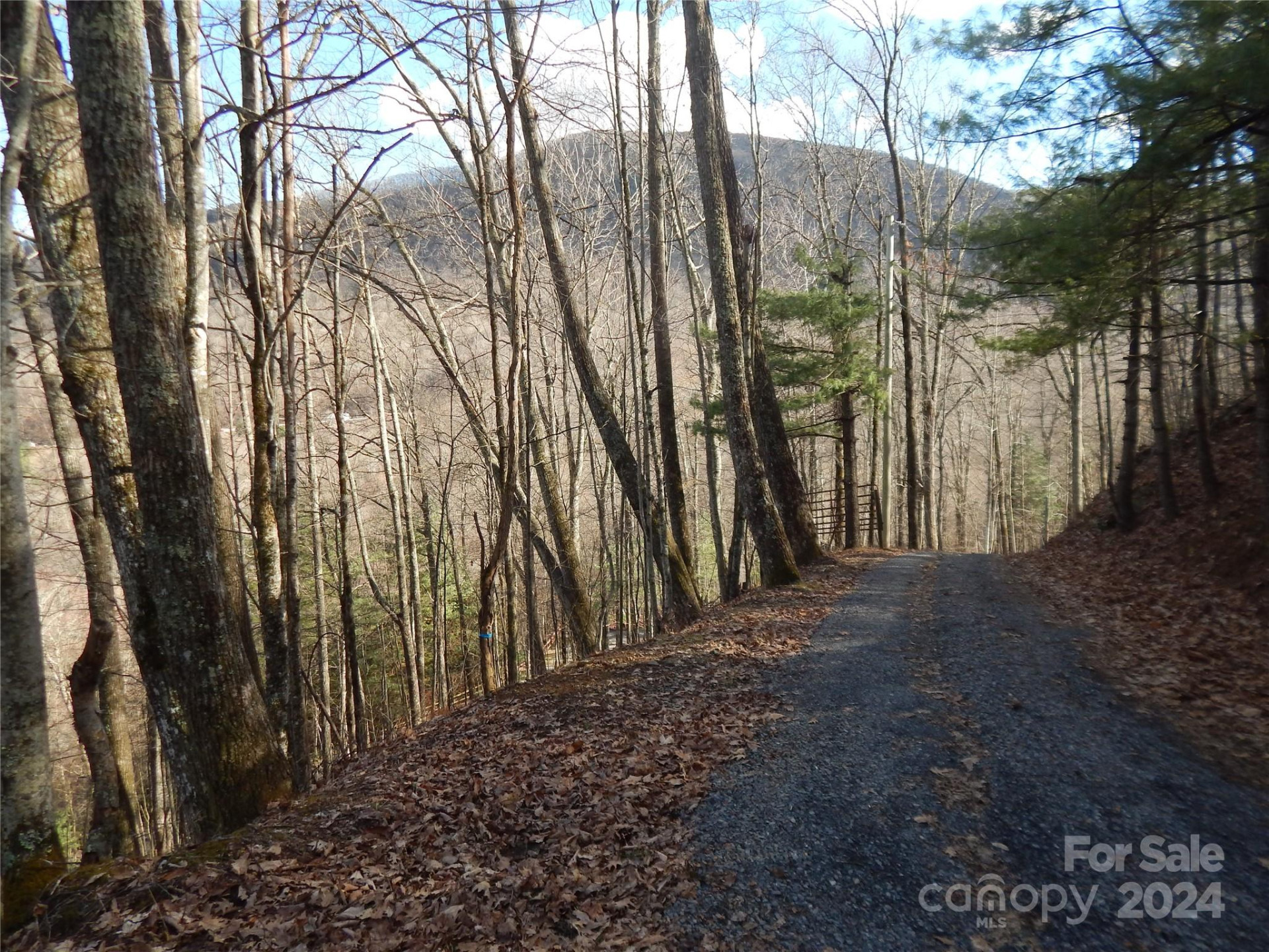 00 Hoot Owl Bill Road - Photo 6