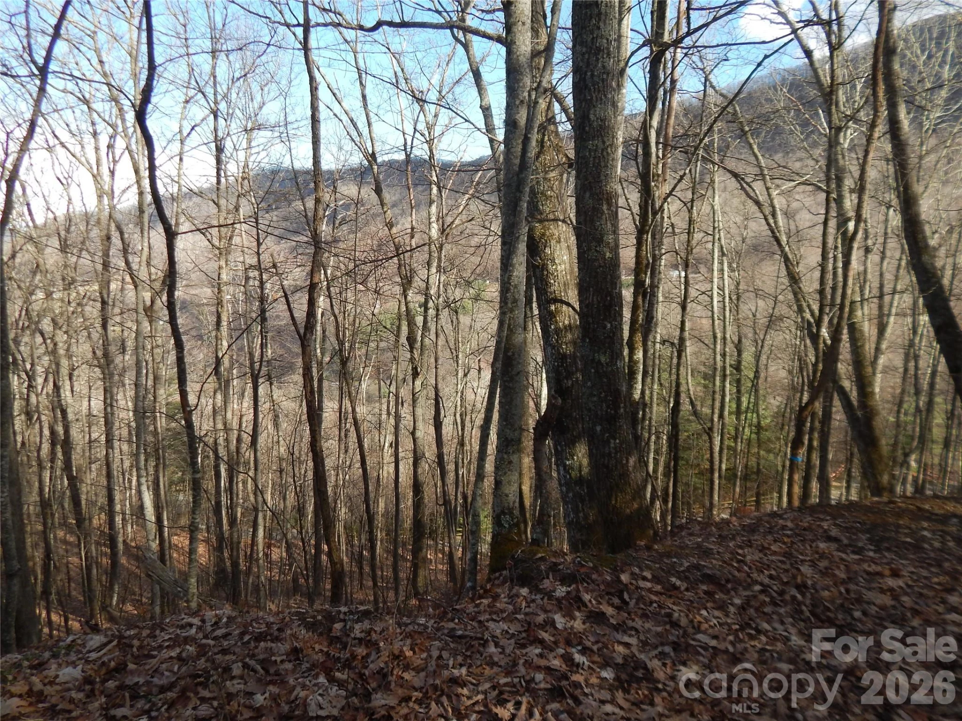 00 Hoot Owl Bill Road - Photo 6