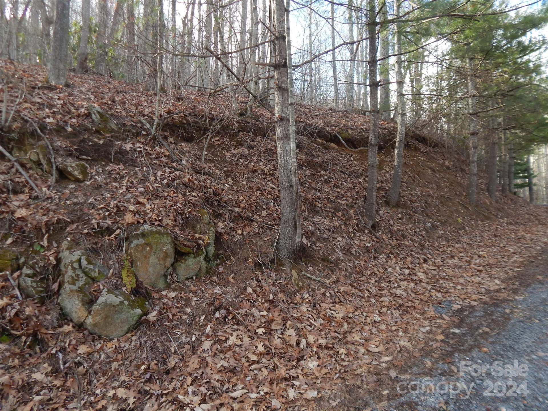 00 Hoot Owl Bill Road - Photo 8