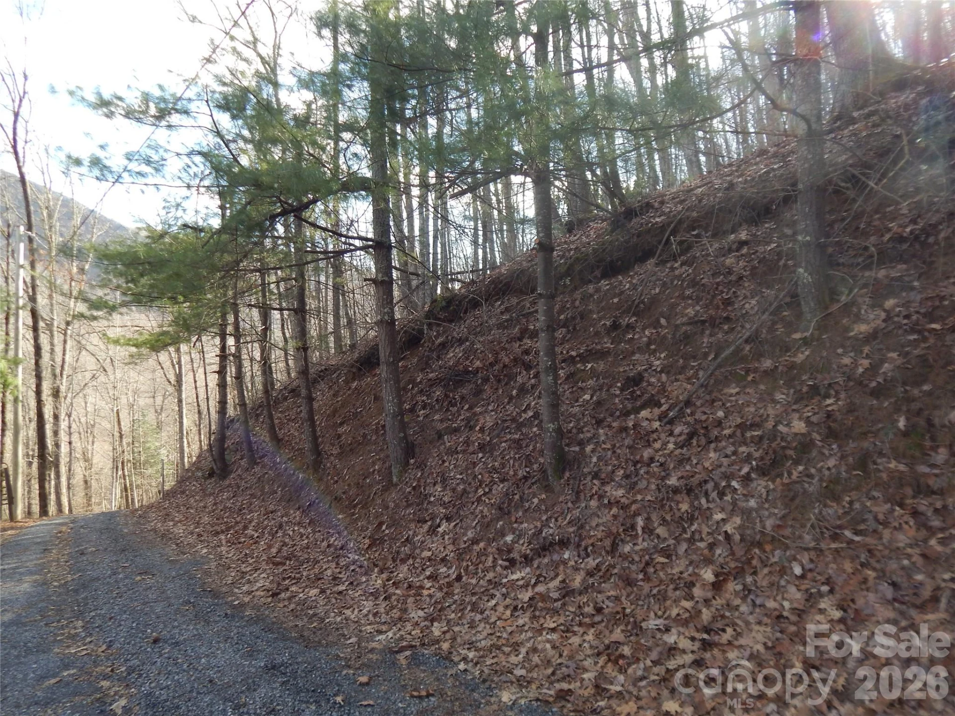 00 Hoot Owl Bill Road - Photo 9
