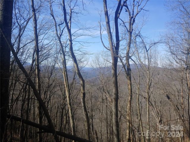 38 Barn Cove Road, Clyde, NC, 28721