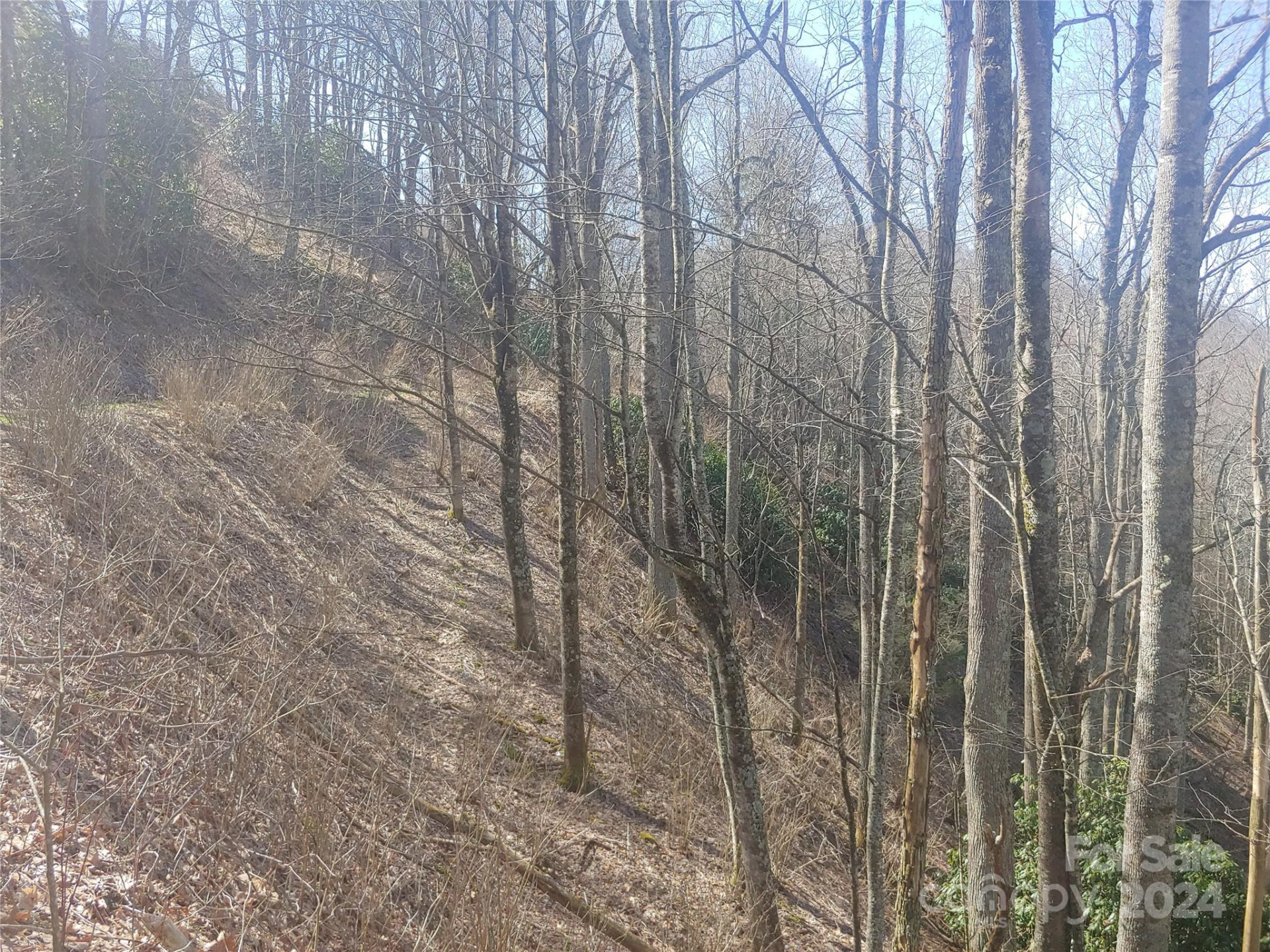 38 Barn Cove Road - Photo 2