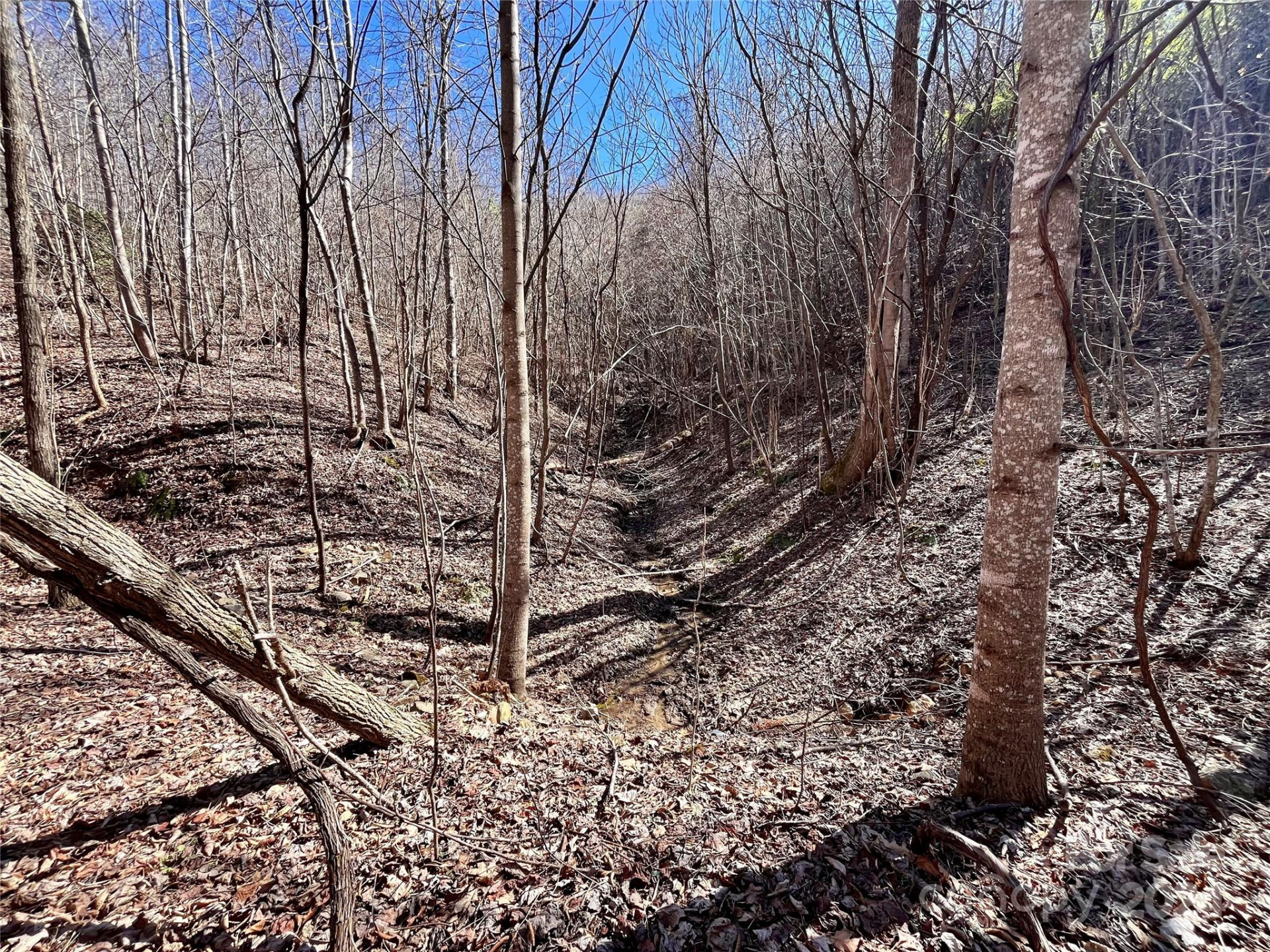 Lot 147 Big View Drive - Photo 2