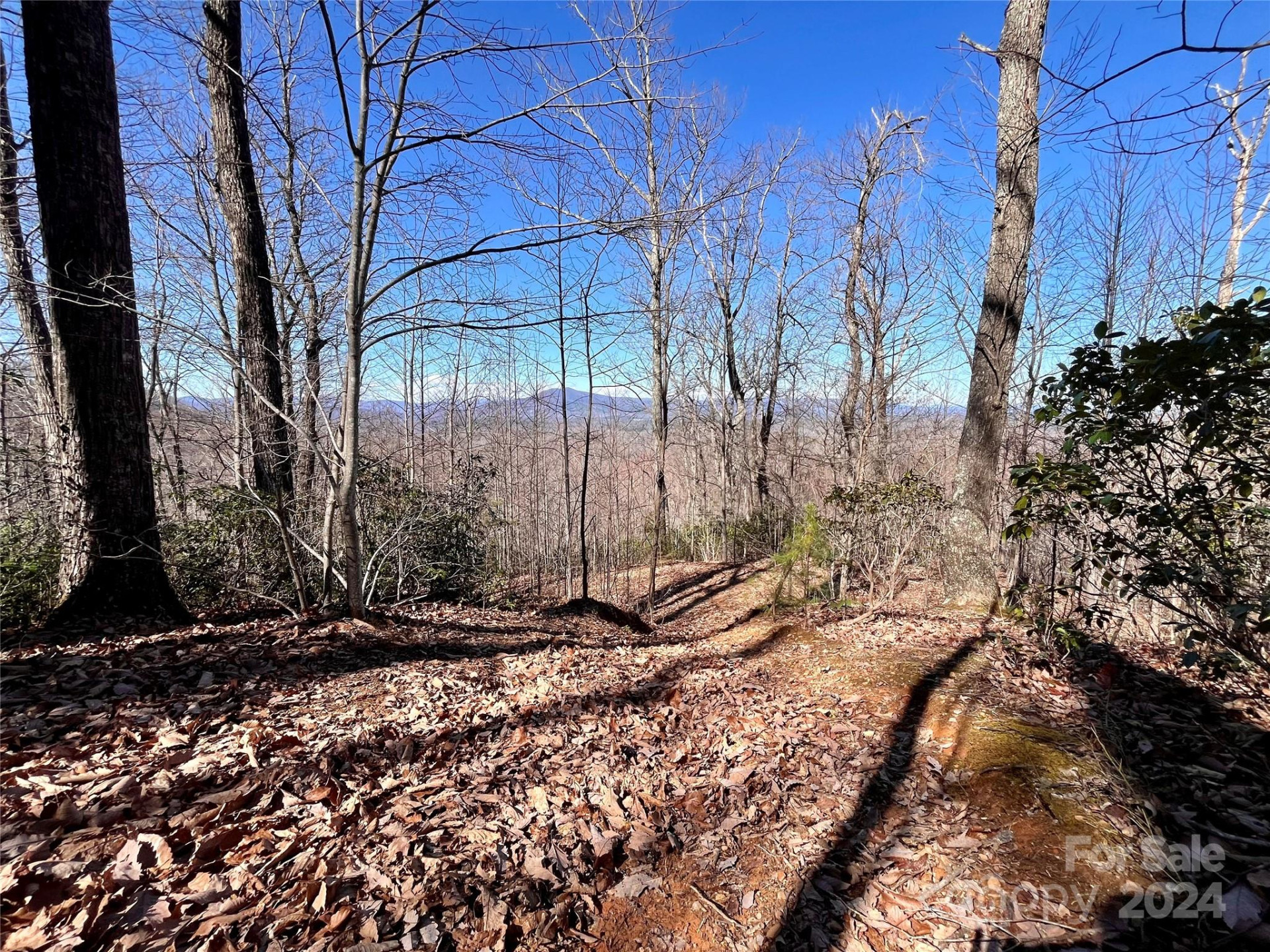 Lot 147 Big View Drive - Photo 11