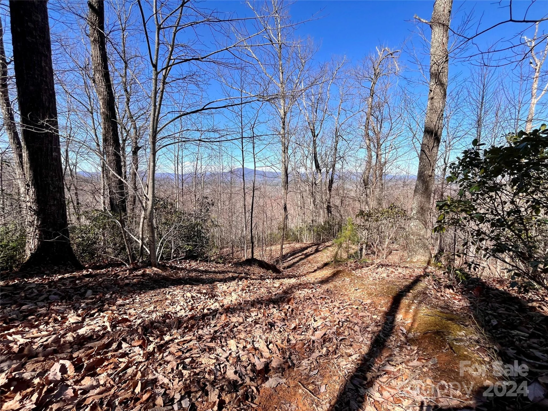 Lot 147 Big View Drive - Photo 11