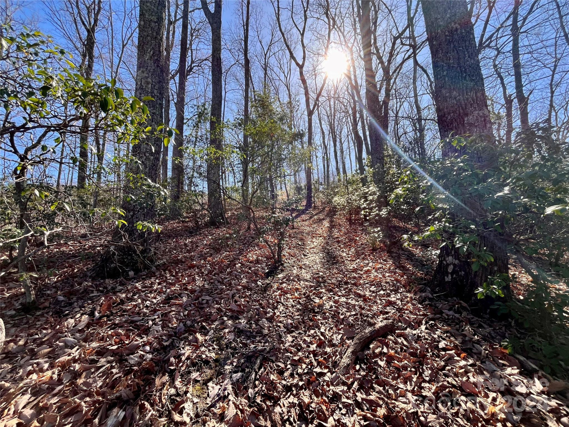 Lot 147 Big View Drive - Photo 12