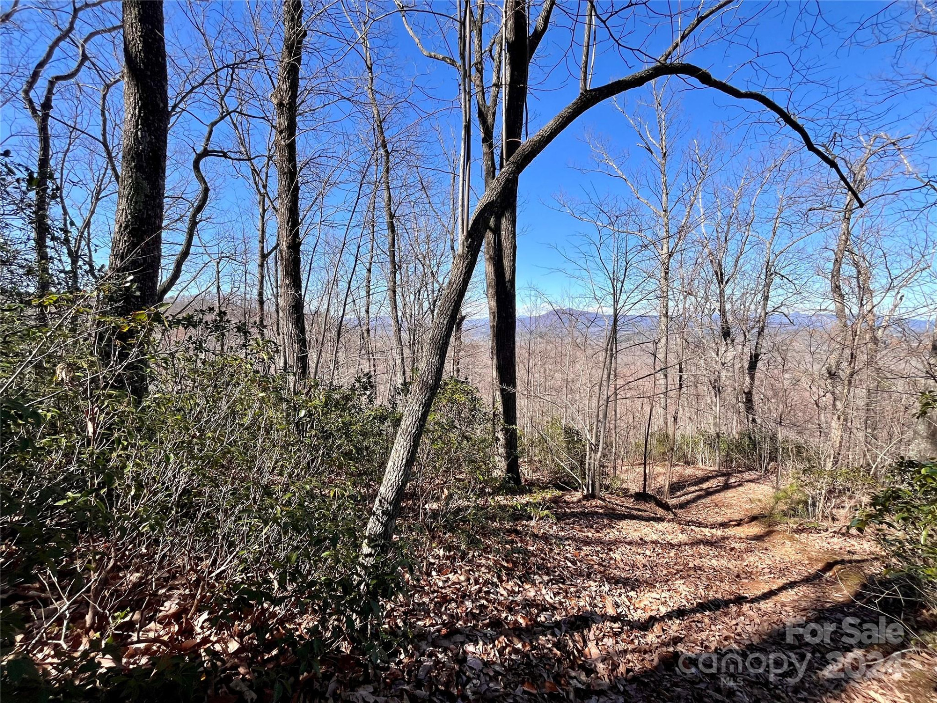 Lot 147 Big View Drive - Photo 13