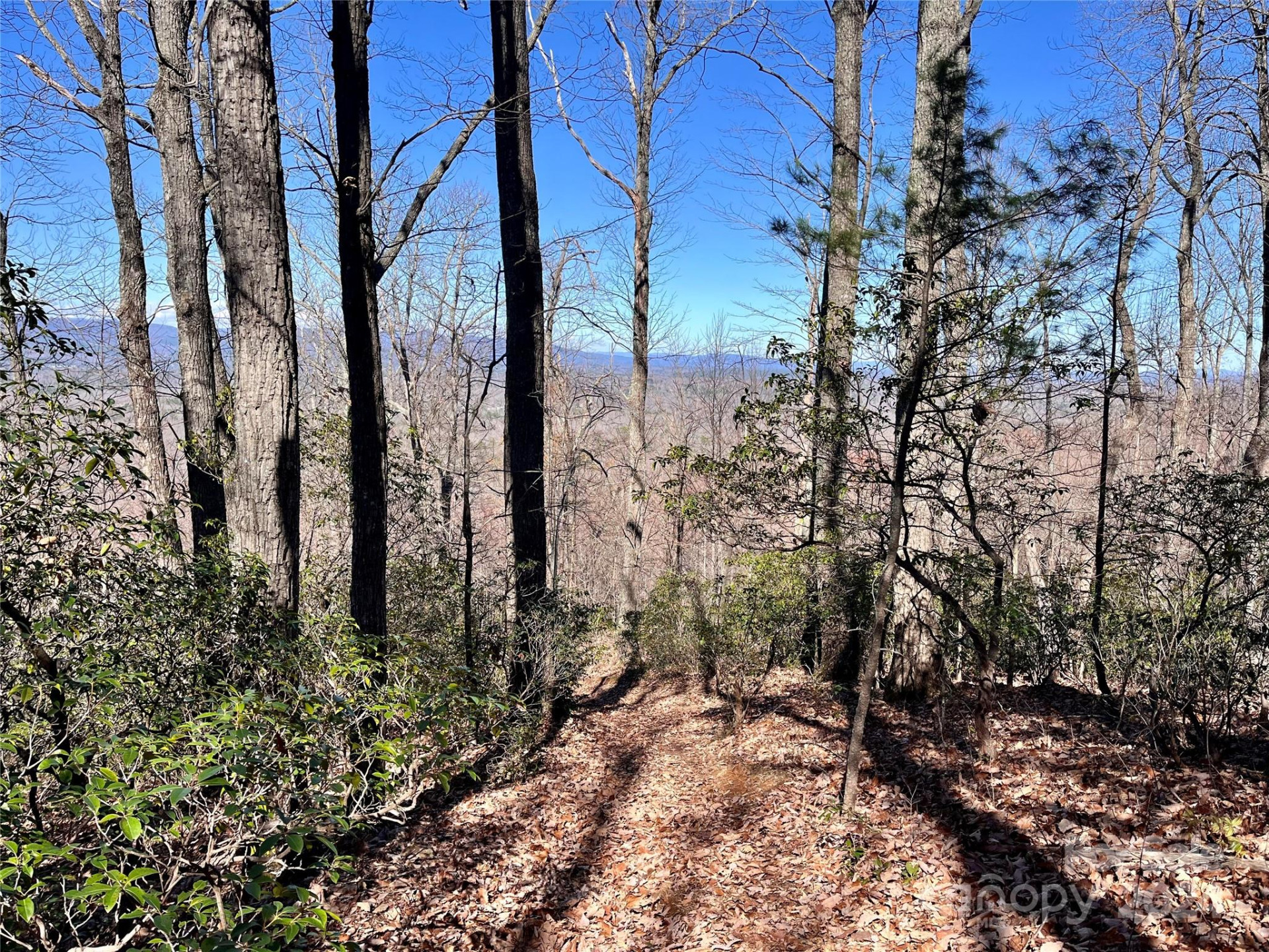 Lot 147 Big View Drive - Photo 16