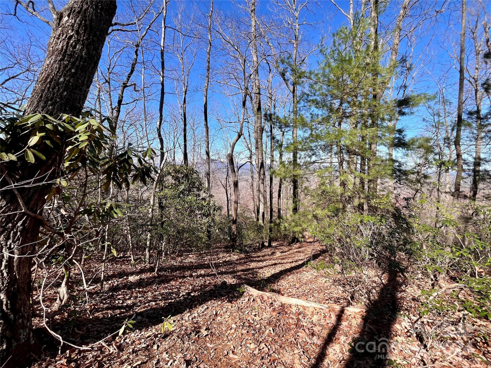 Lot 147 Big View Drive - Photo 17