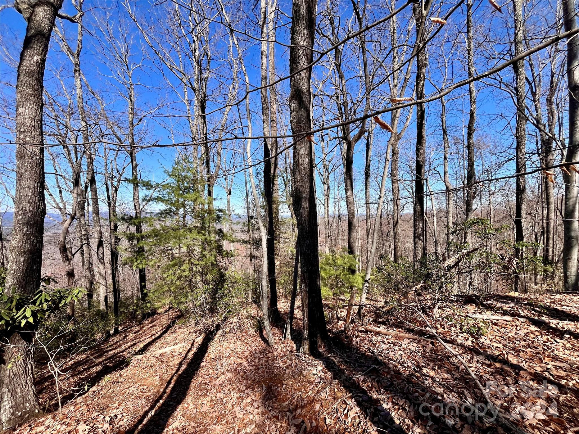 Lot 147 Big View Drive - Photo 19