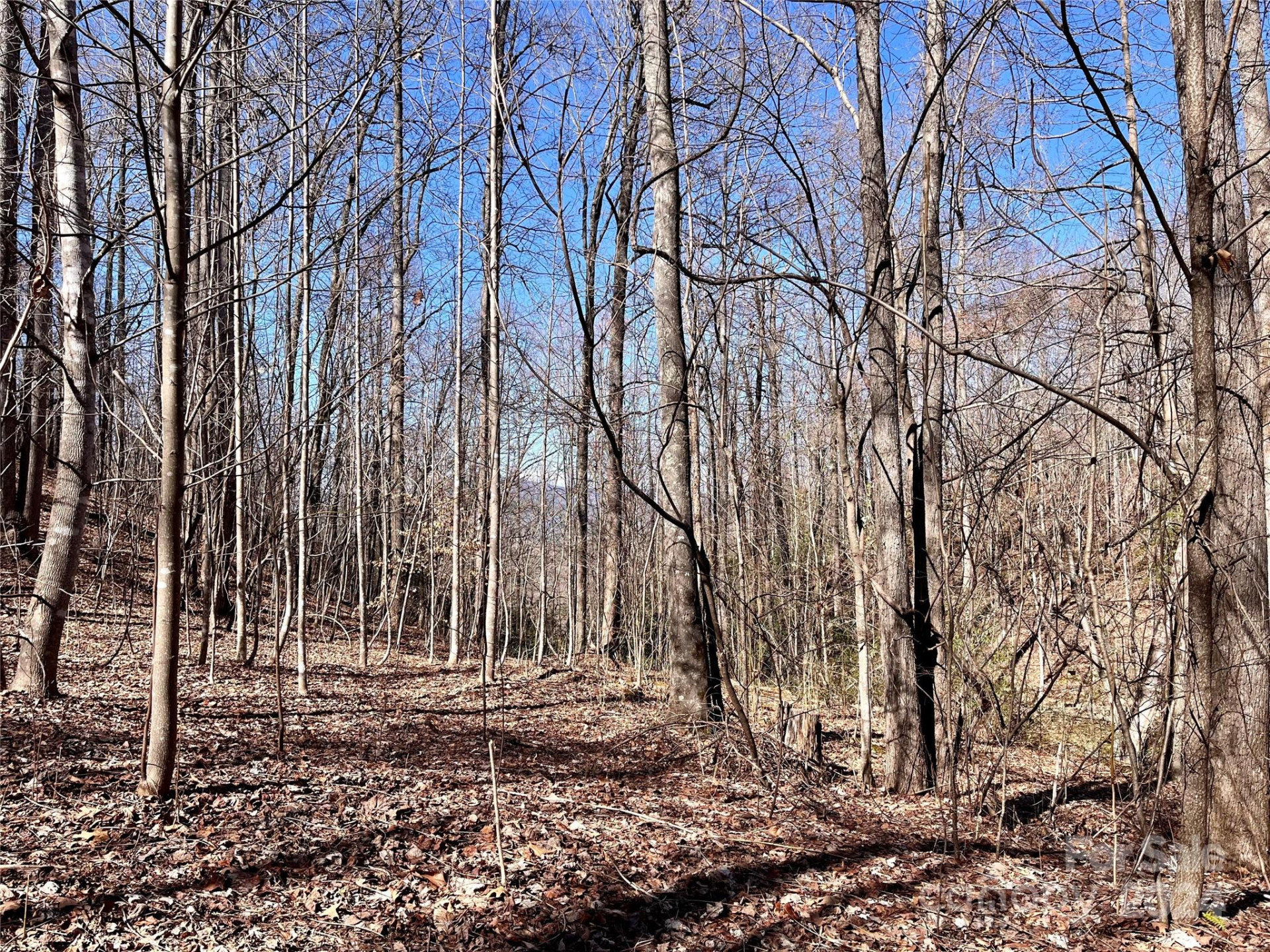 Lot 147 Big View Drive - Photo 3