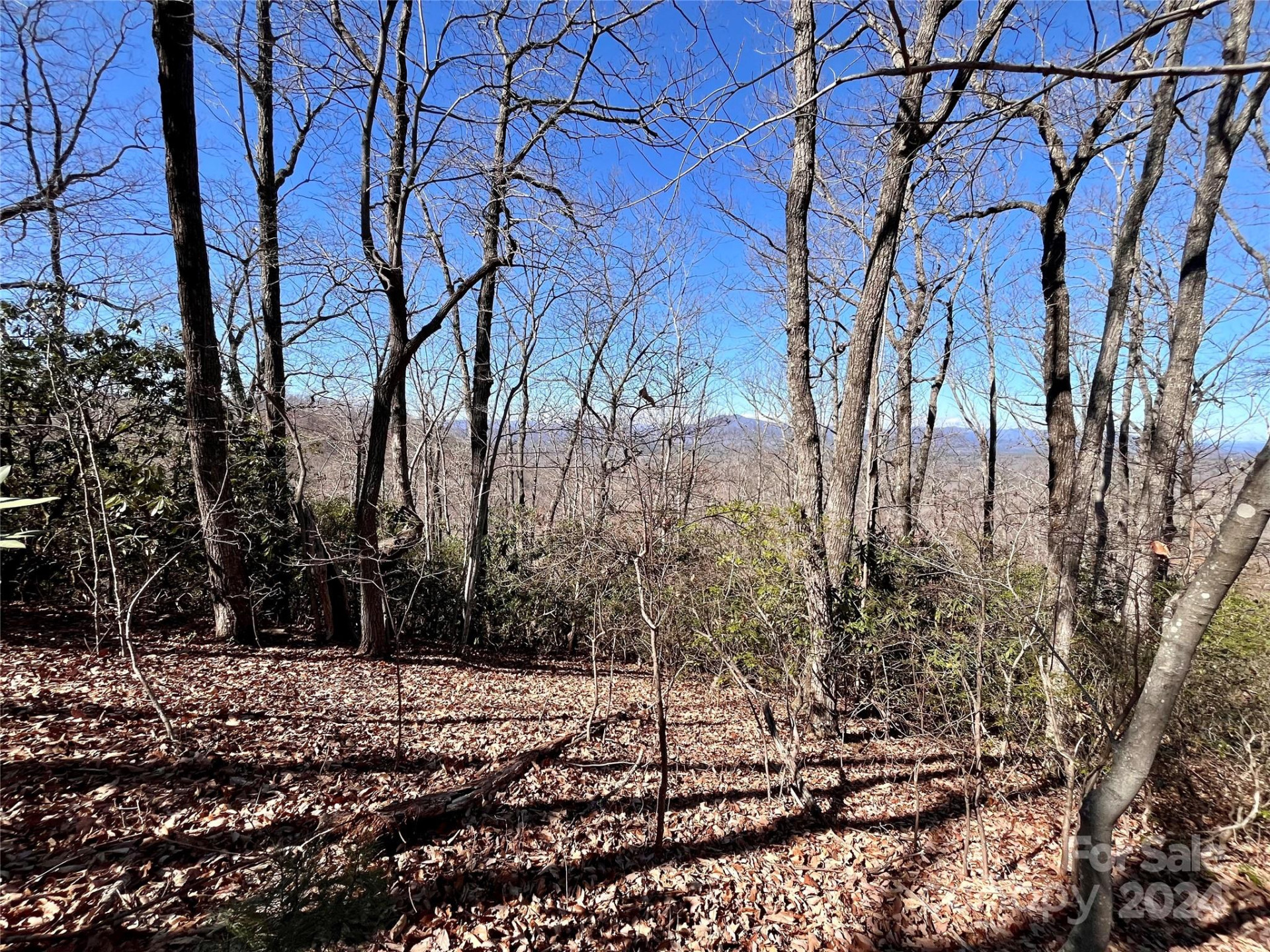 Lot 147 Big View Drive - Photo 22