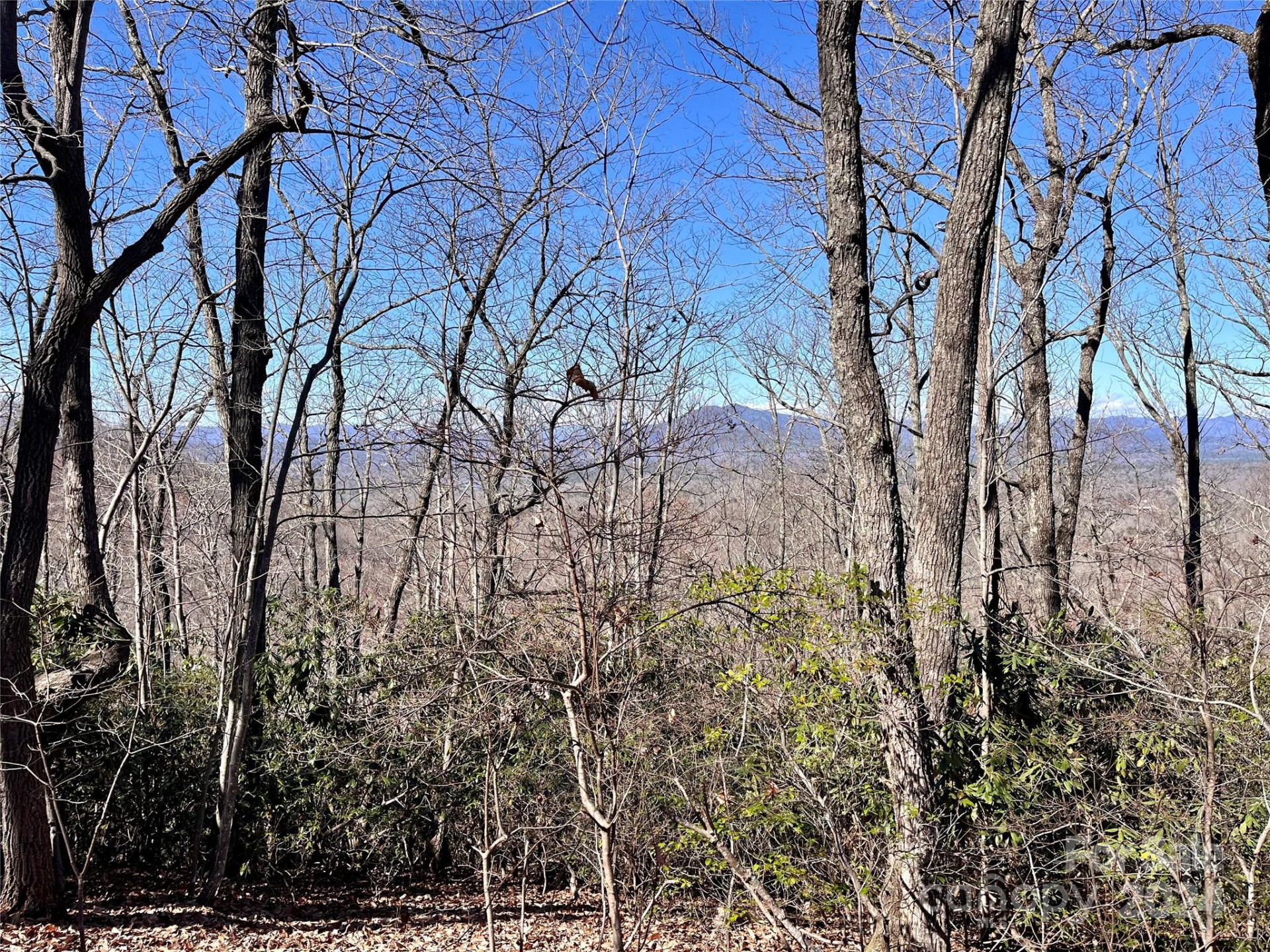 Lot 147 Big View Drive - Photo 23