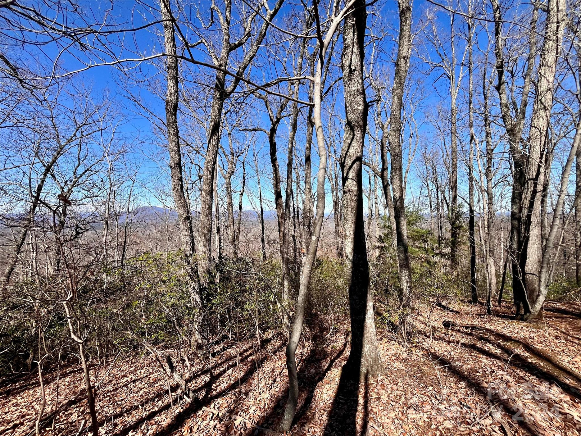 Lot 147 Big View Drive - Photo 24