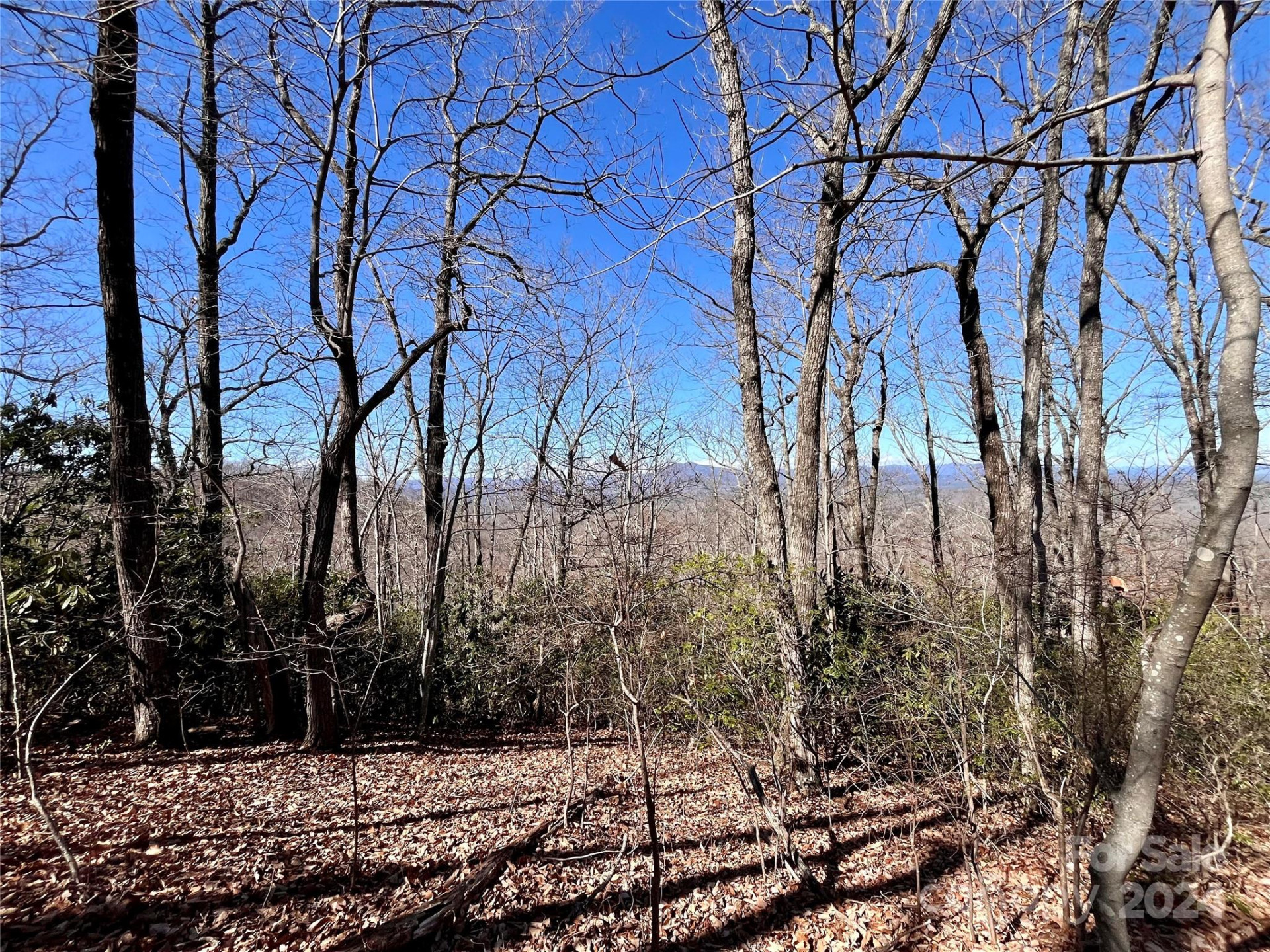 Lot 147 Big View Drive - Photo 25