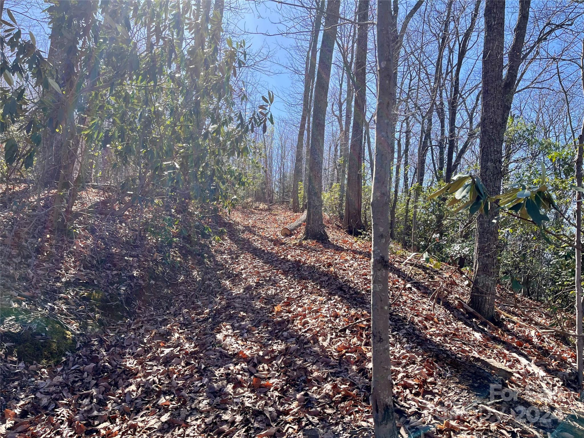 Lot 147 Big View Drive - Photo 26