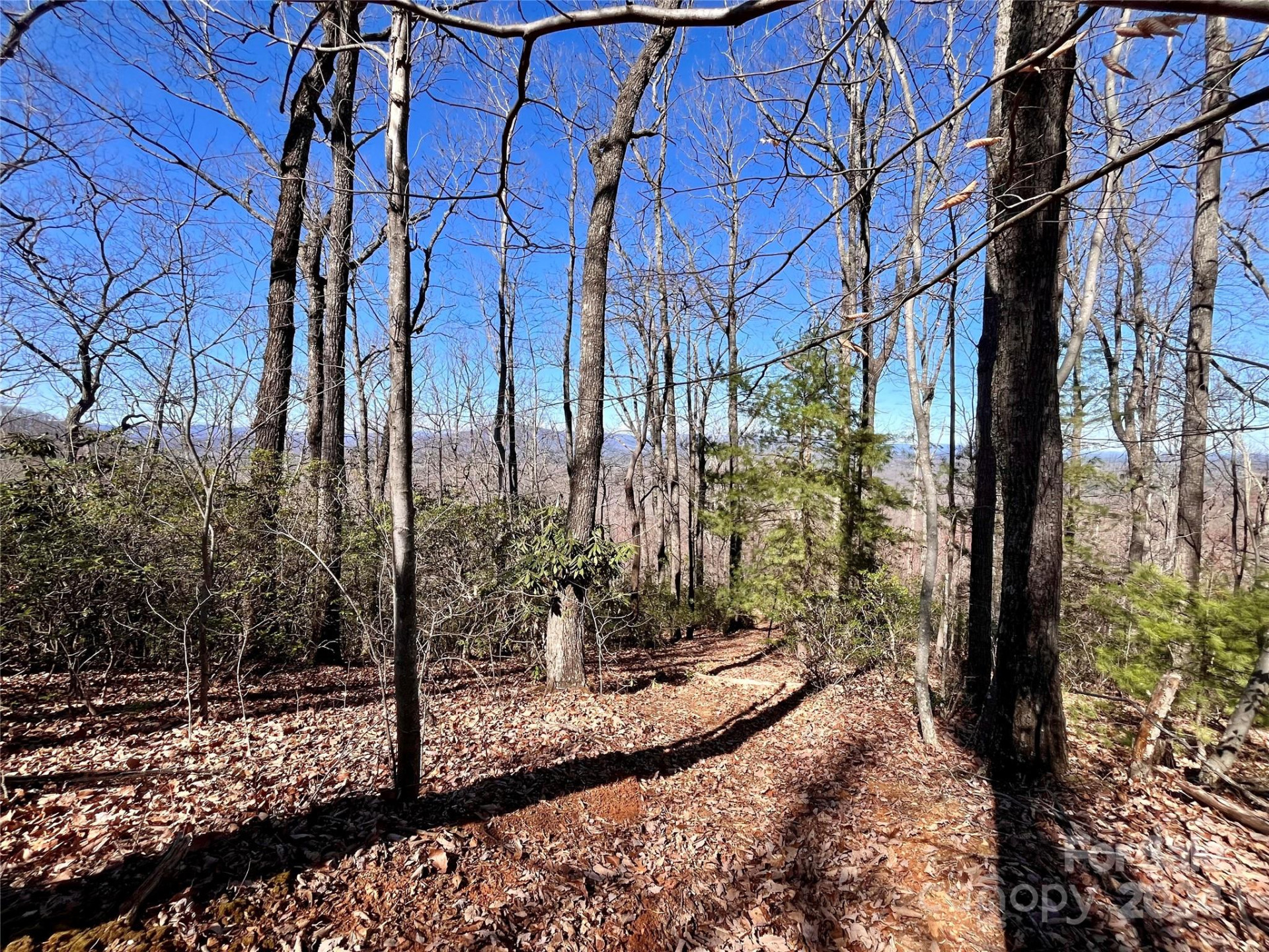 Lot 147 Big View Drive - Photo 27