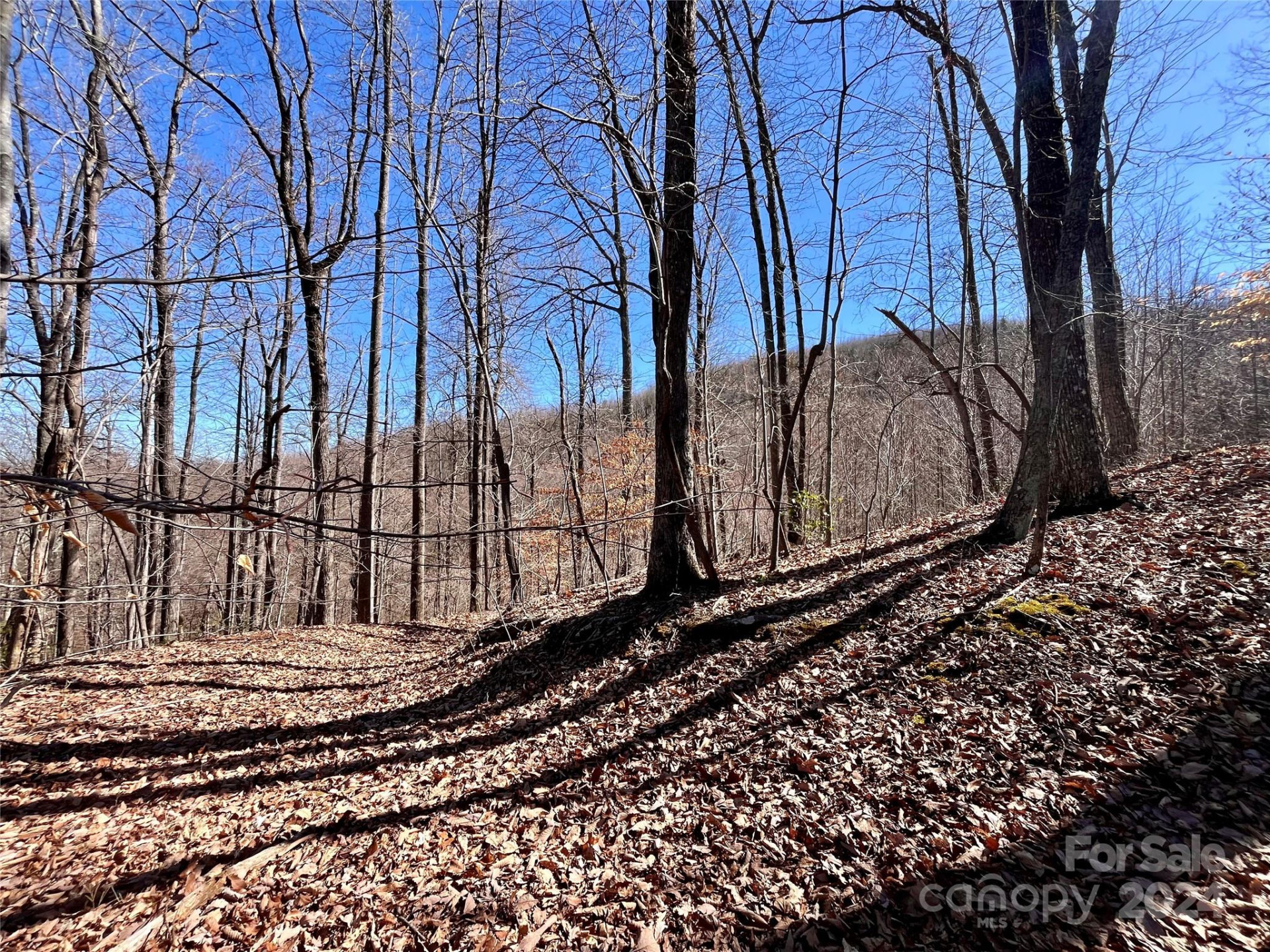 Lot 147 Big View Drive - Photo 28