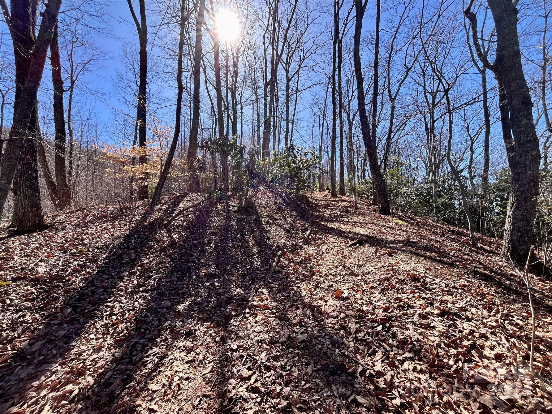 Lot 147 Big View Drive - Photo 29