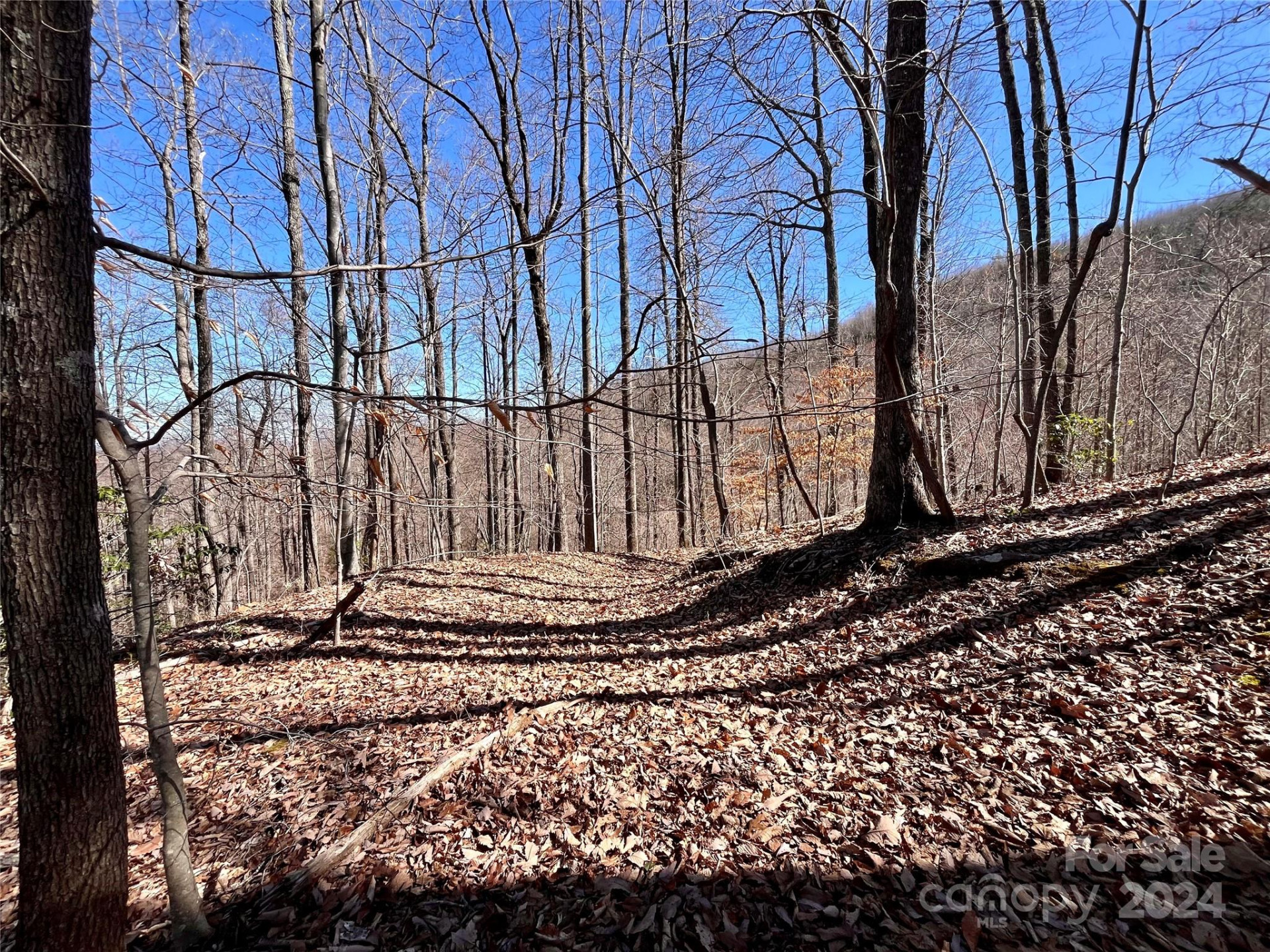 Lot 147 Big View Drive - Photo 30