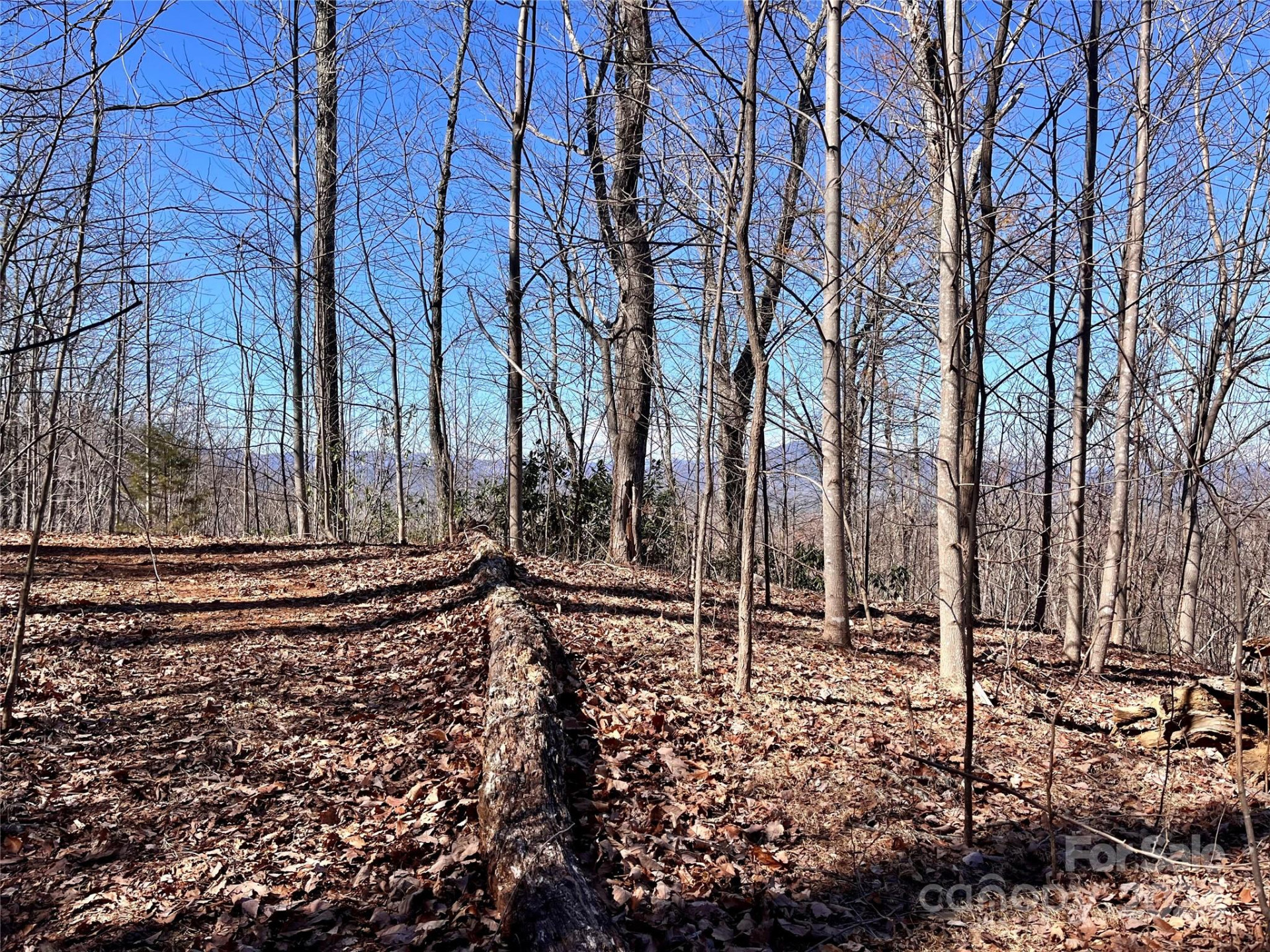 Lot 147 Big View Drive - Photo 4