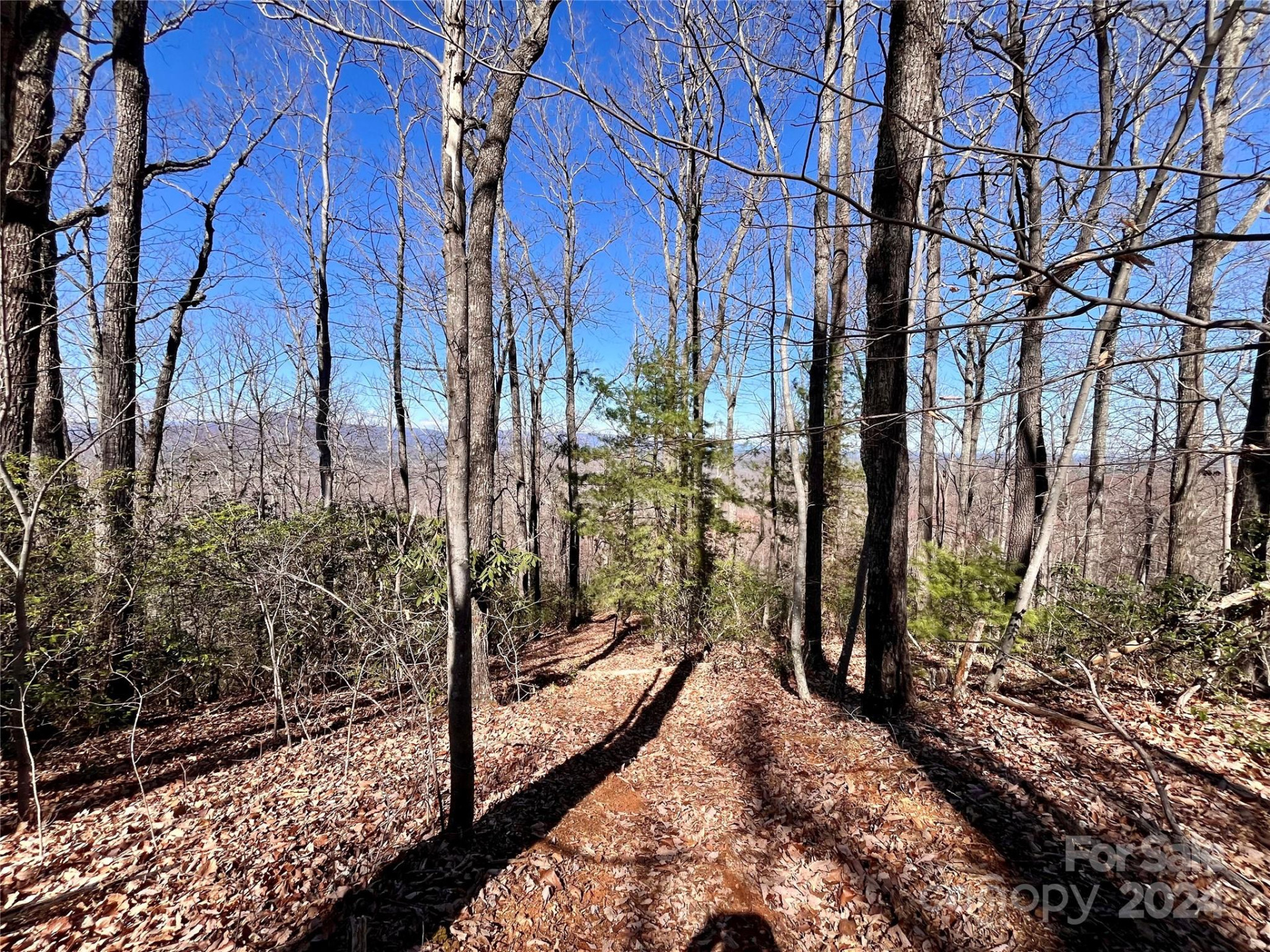 Lot 147 Big View Drive - Photo 31