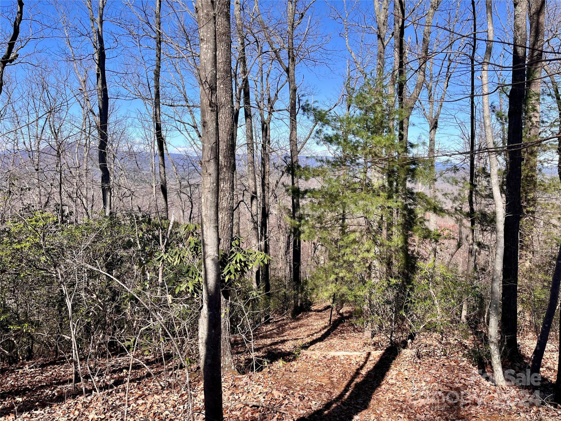 Lot 147 Big View Drive - Photo 32