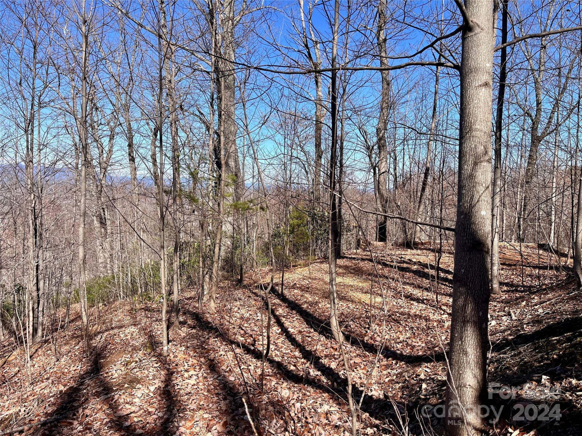 Lot 147 Big View Drive - Photo 34