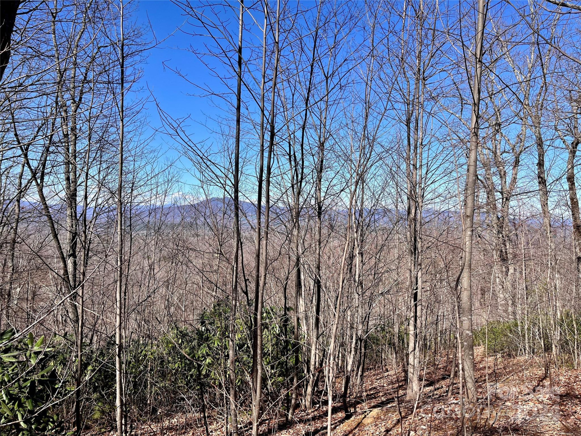 Lot 147 Big View Drive - Photo 35