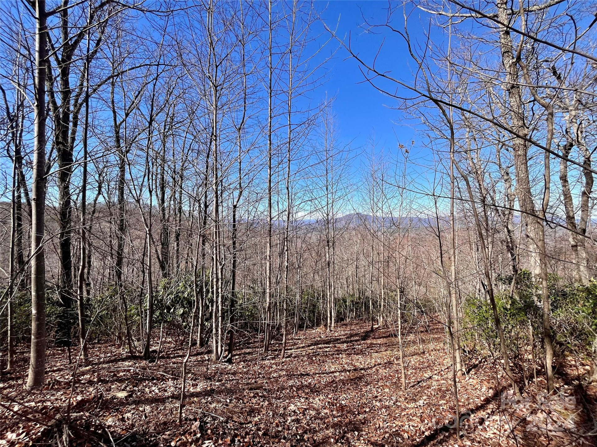 Lot 147 Big View Drive - Photo 36