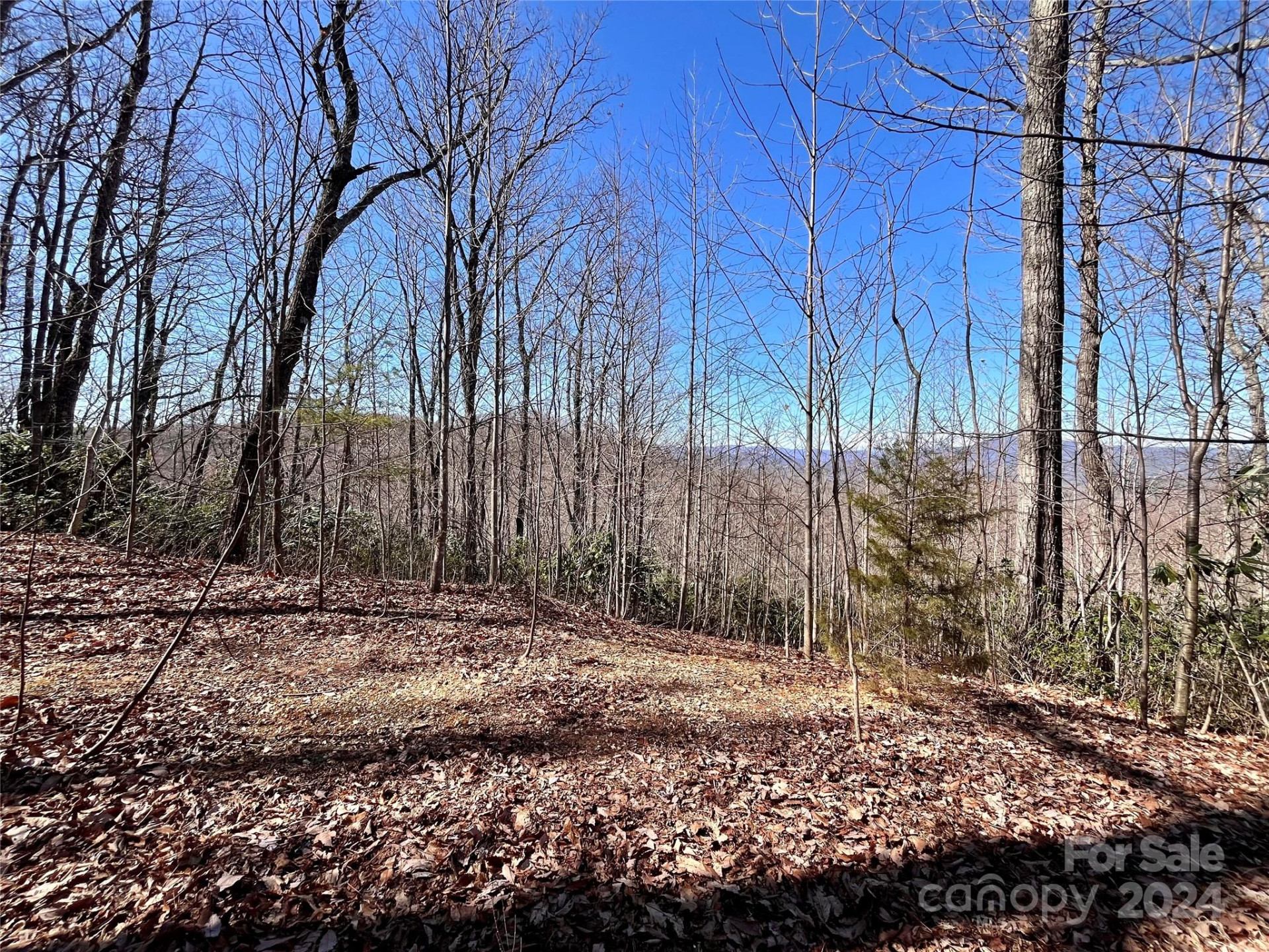 Lot 147 Big View Drive - Photo 37