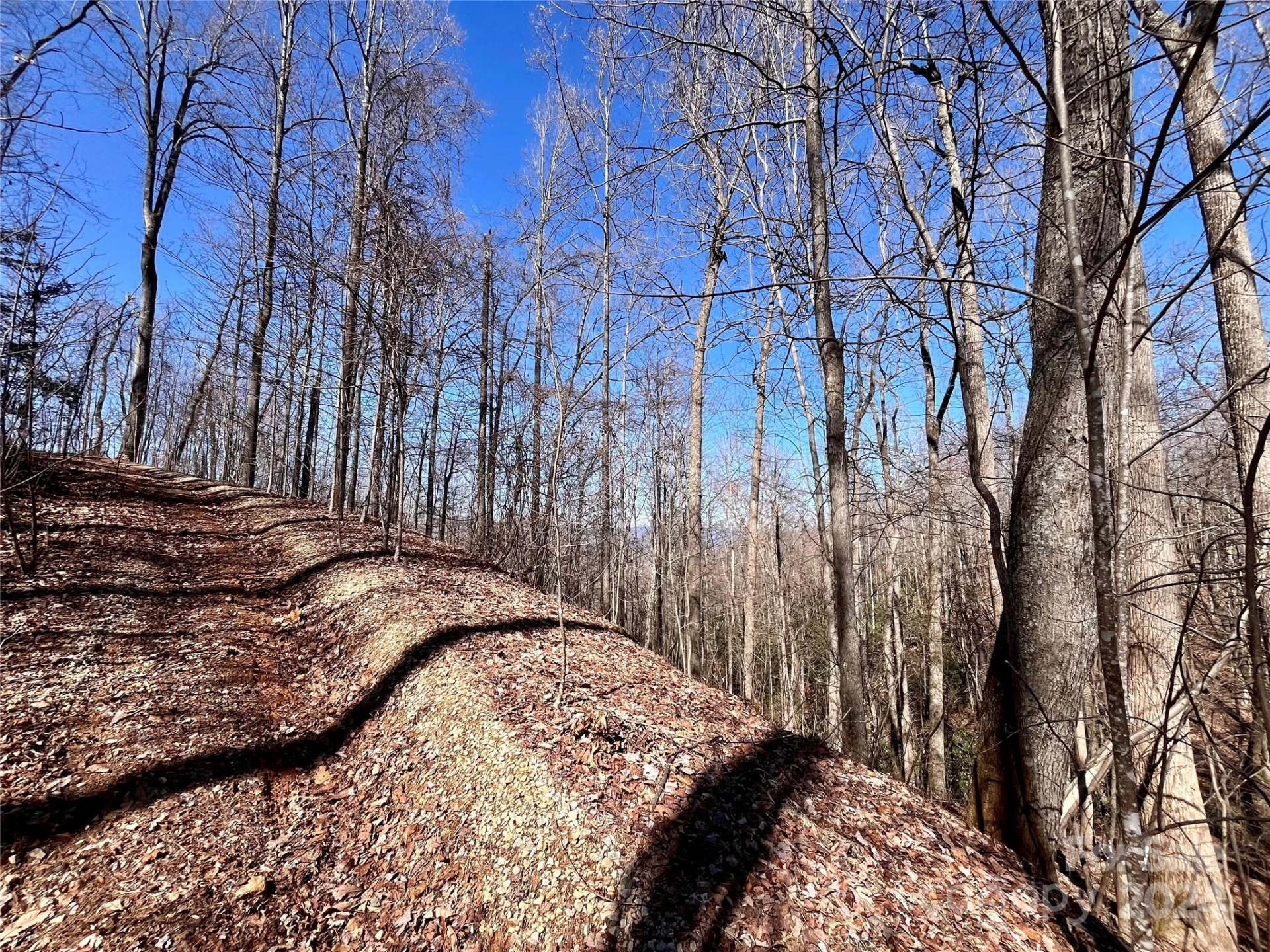 Lot 147 Big View Drive - Photo 37