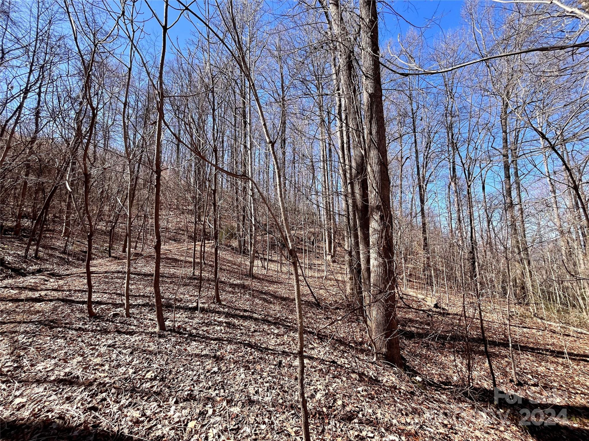 Lot 147 Big View Drive - Photo 39