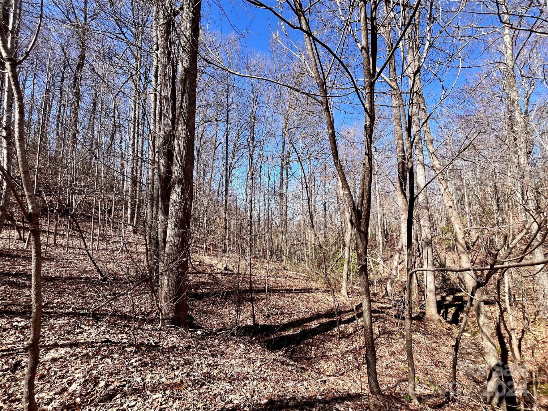 Lot 147 Big View Drive - Photo 39