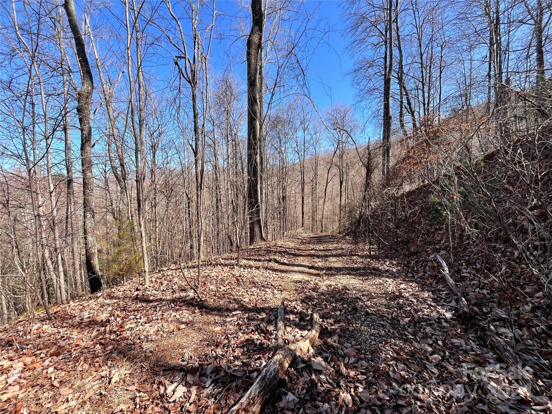 Lot 147 Big View Drive - Photo 5