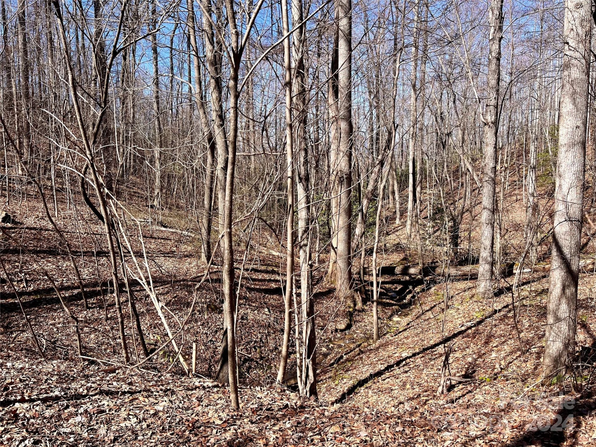 Lot 147 Big View Drive - Photo 40