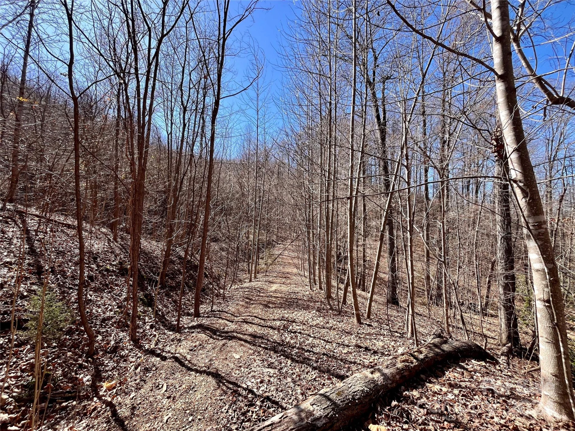 Lot 147 Big View Drive - Photo 41