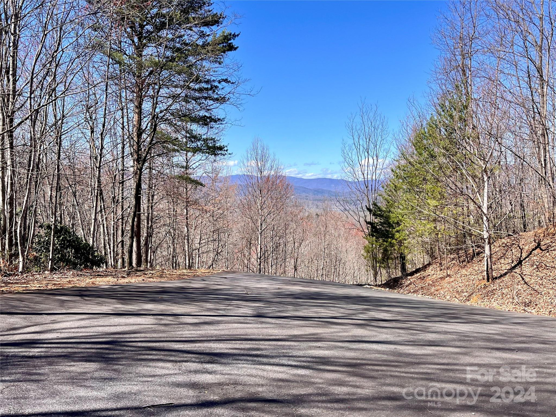 Lot 147 Big View Drive - Photo 43