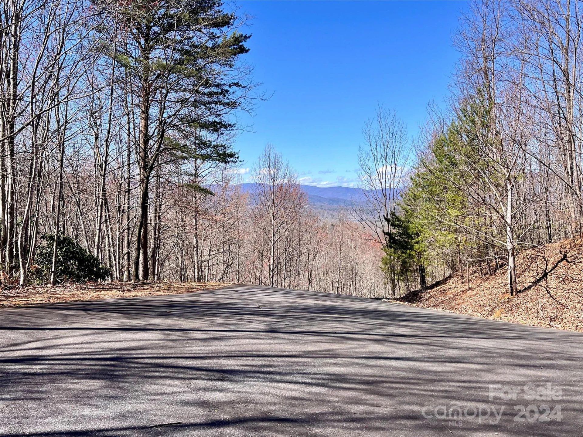 Lot 147 Big View Drive - Photo 42