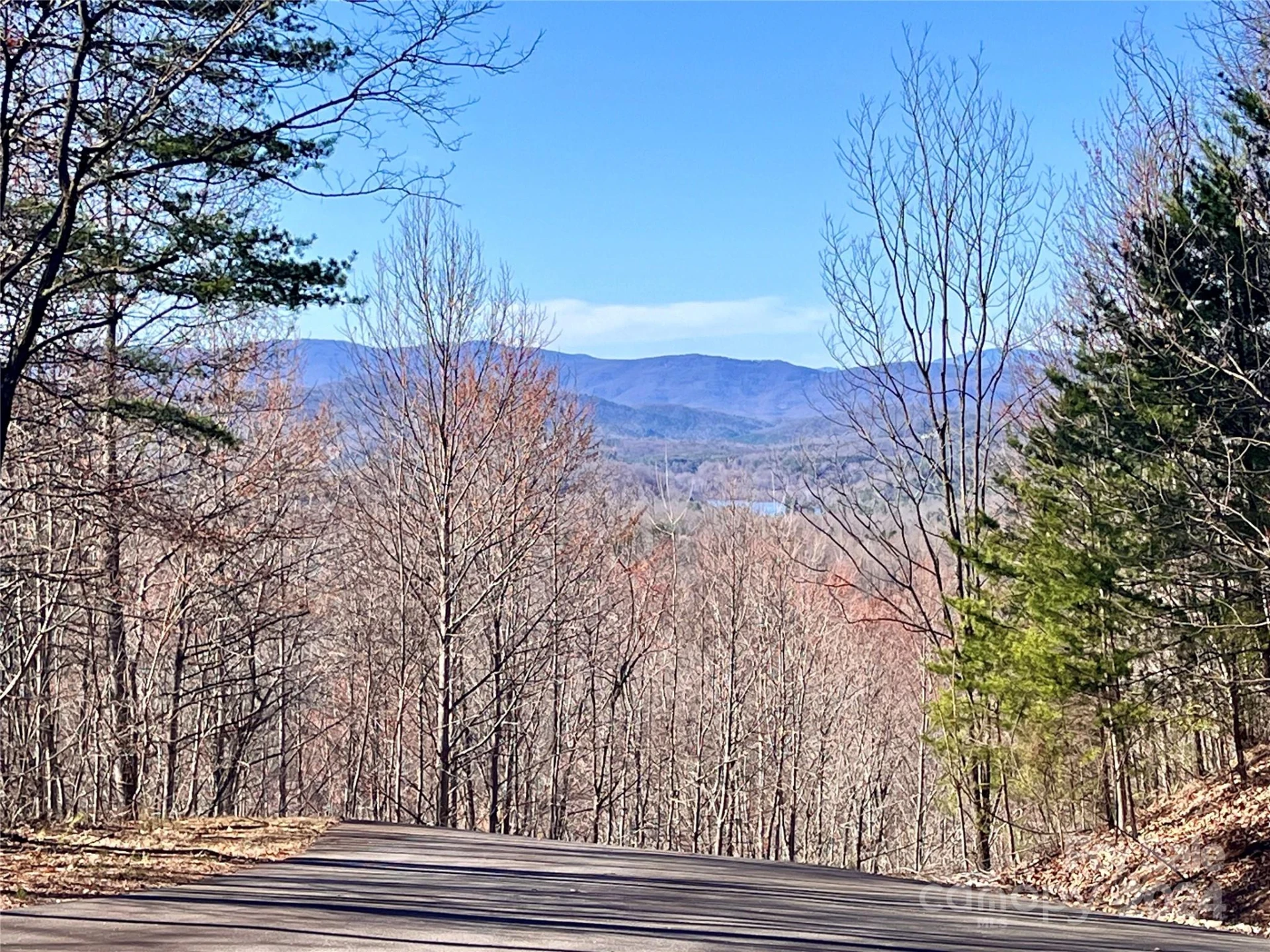 Lot 147 Big View Drive - Photo 43
