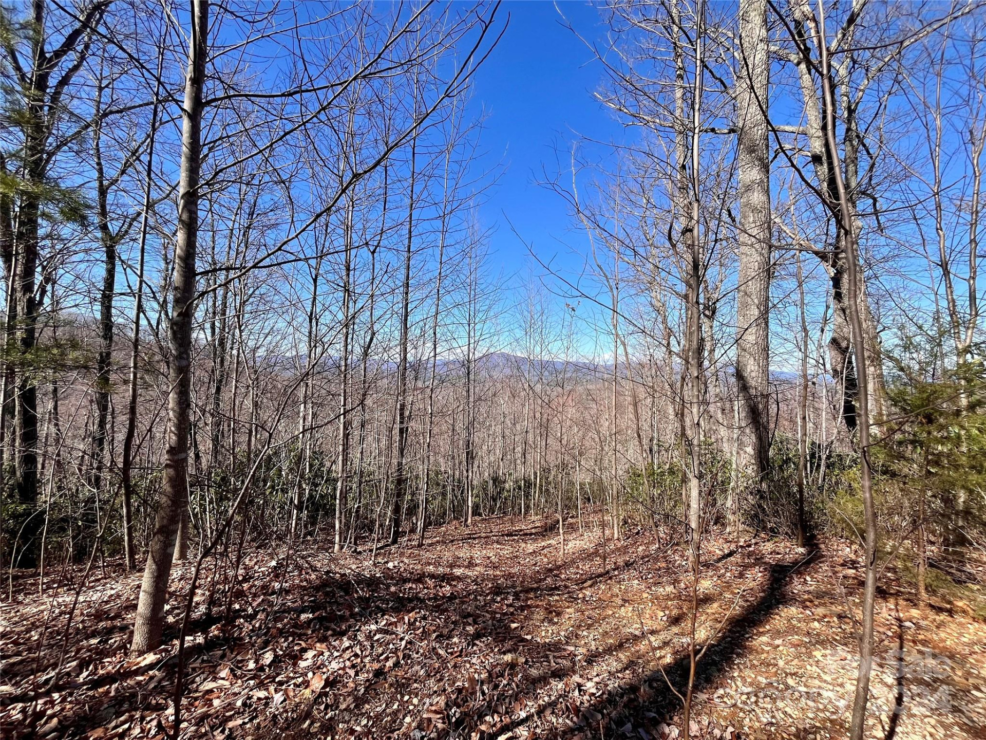 Lot 147 Big View Drive - Photo 6