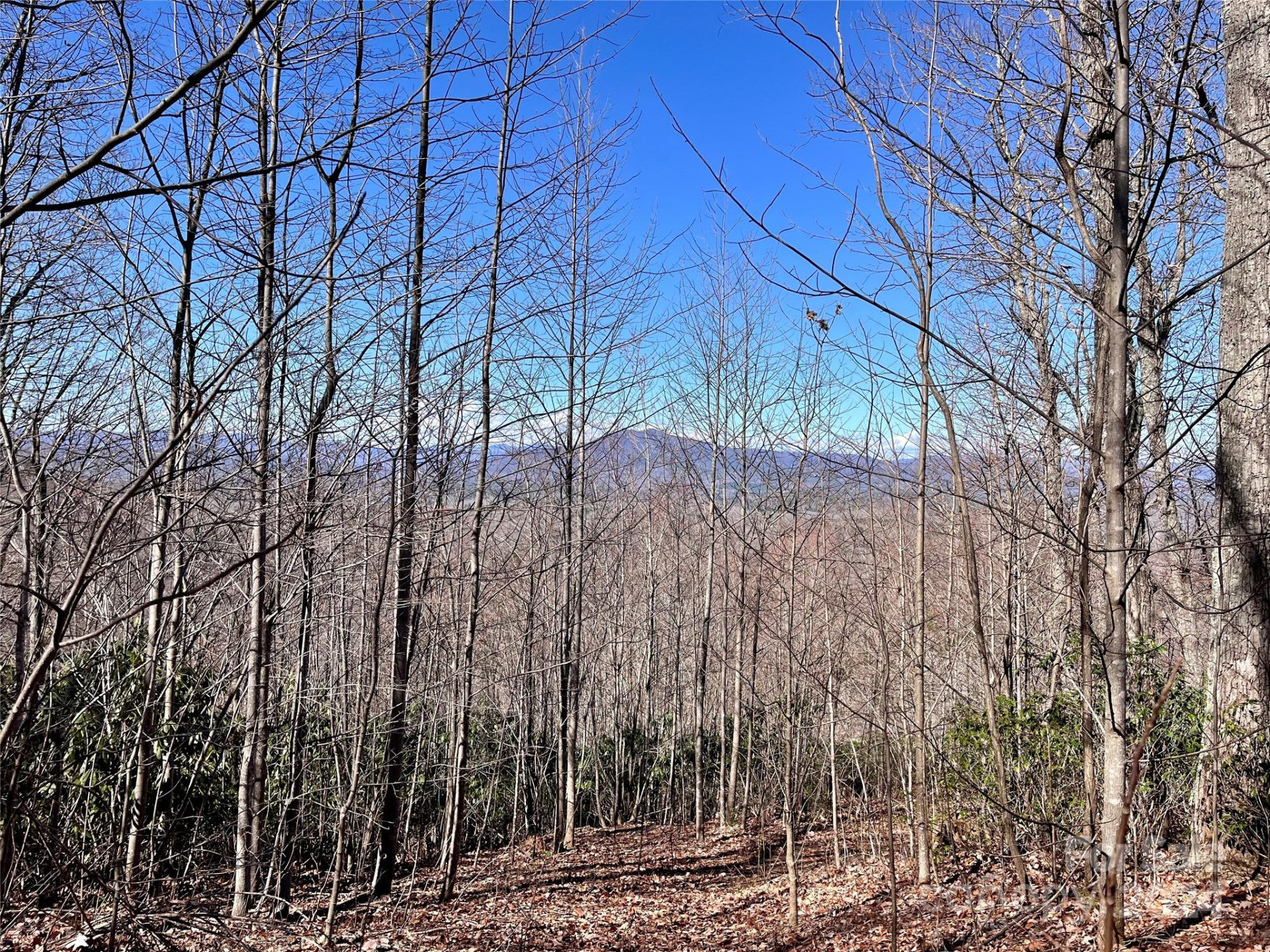 Lot 147 Big View Drive - Photo 7