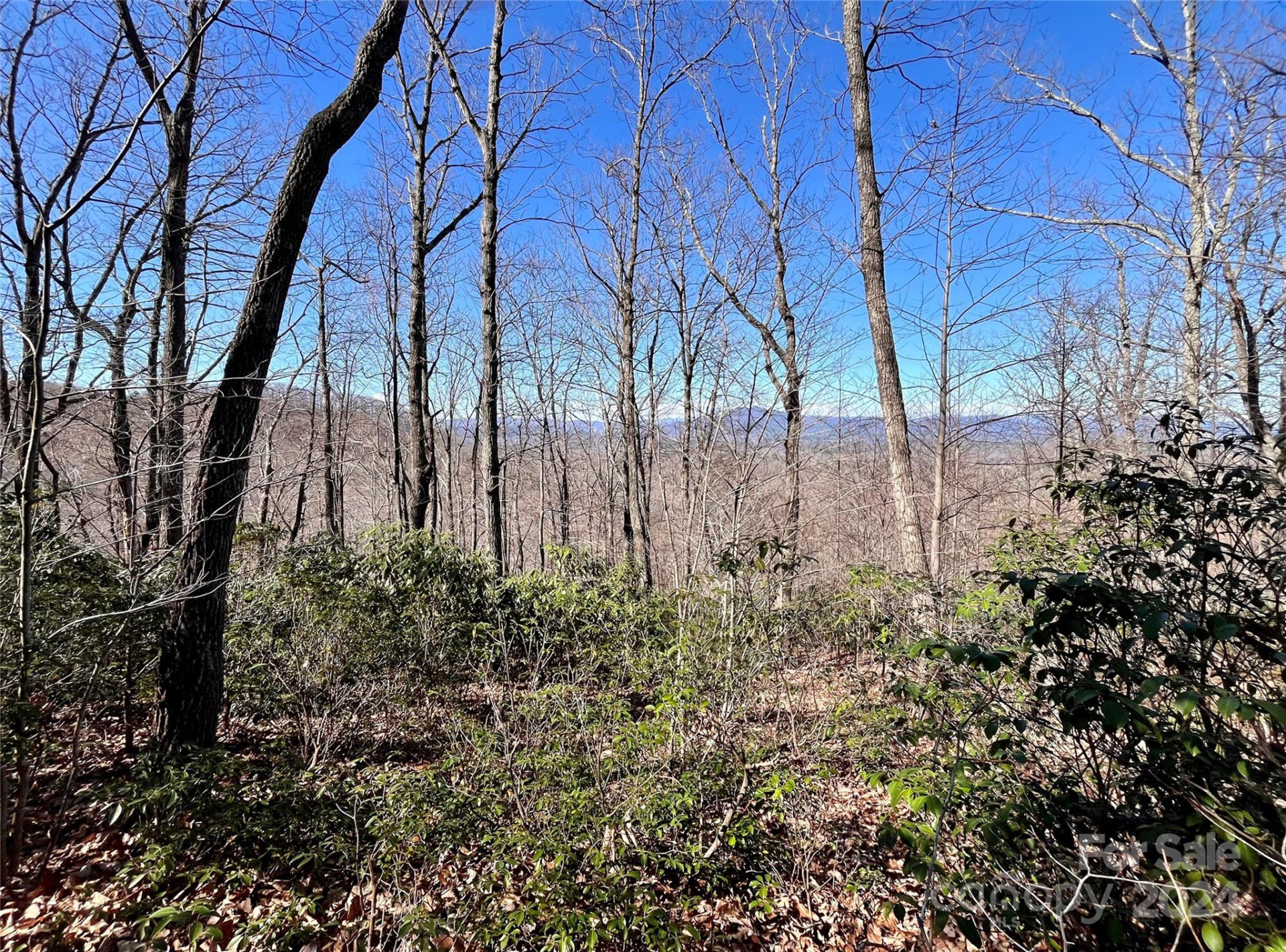 Lot 147 Big View Drive - Photo 8