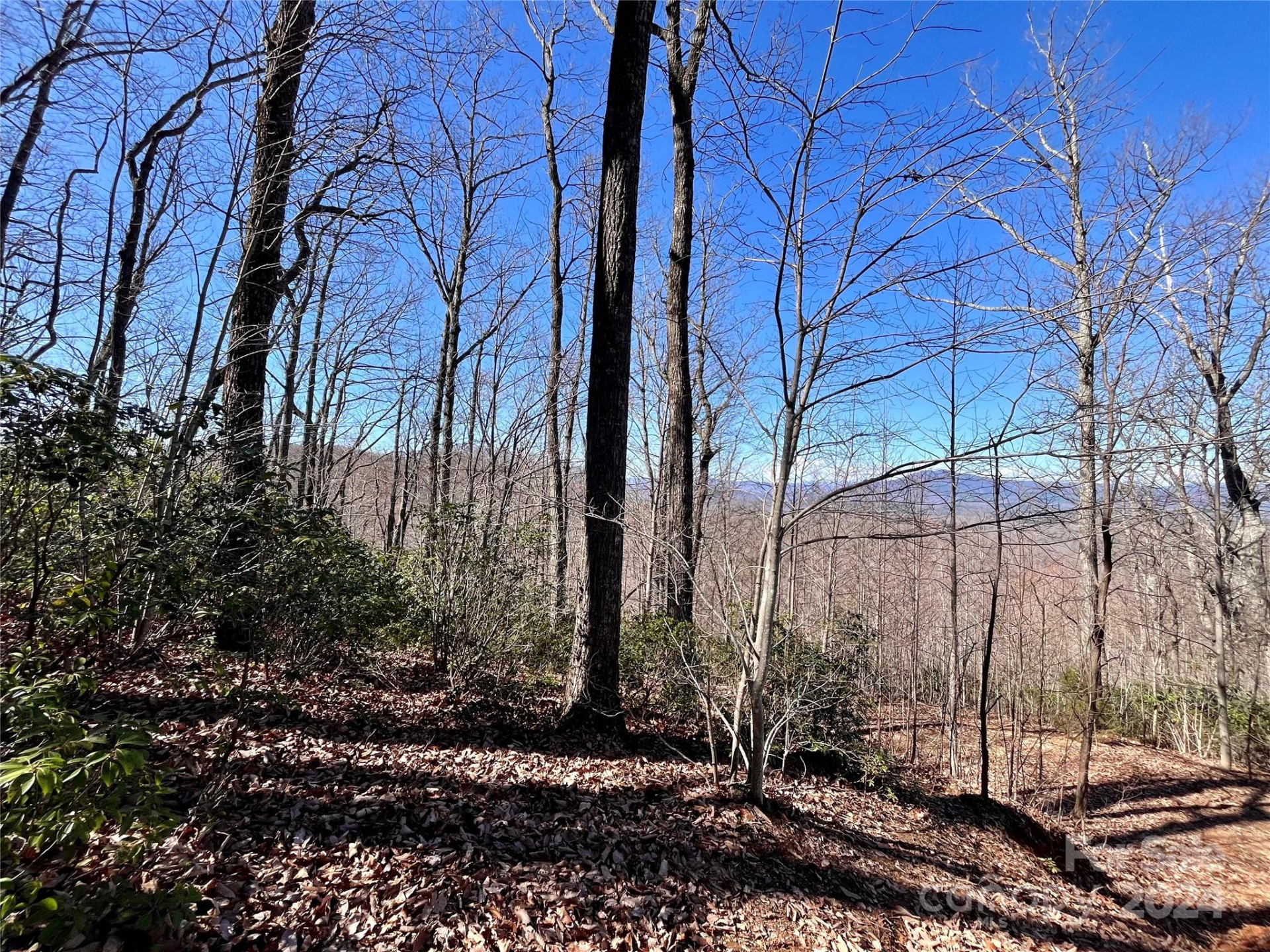 Lot 147 Big View Drive - Photo 10