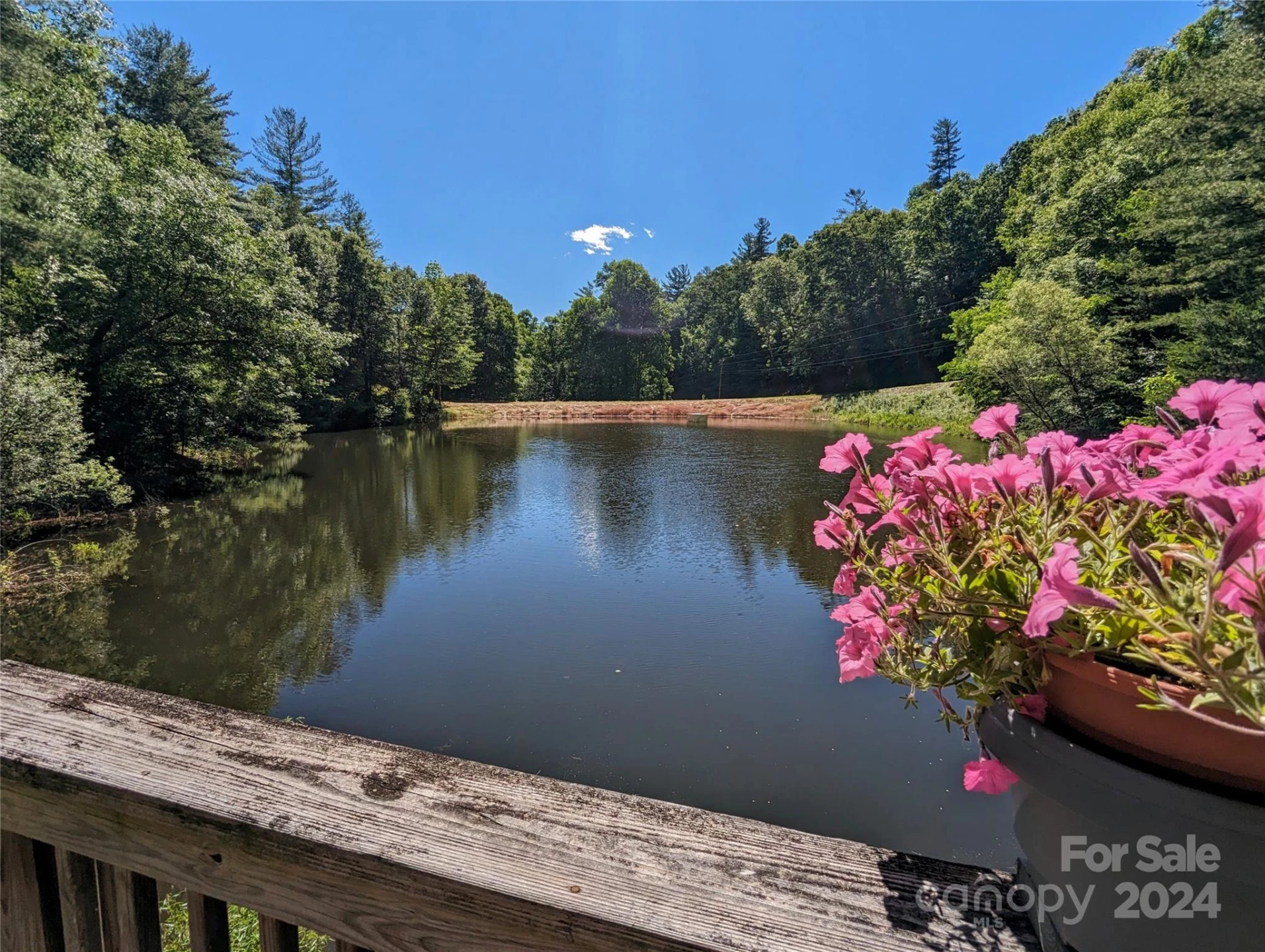001 Shoal Pond Cove - Photo 14