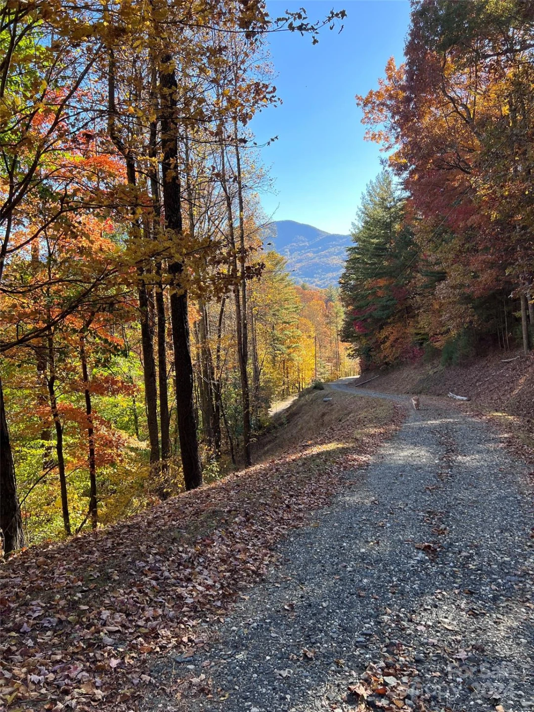 001 Shoal Pond Cove - Photo 20