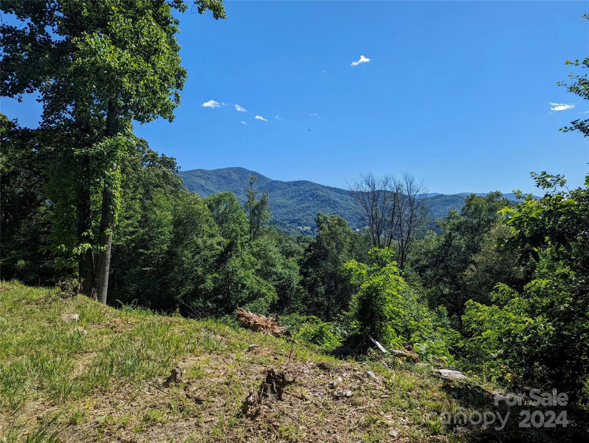 001 Shoal Pond Cove - Photo 3